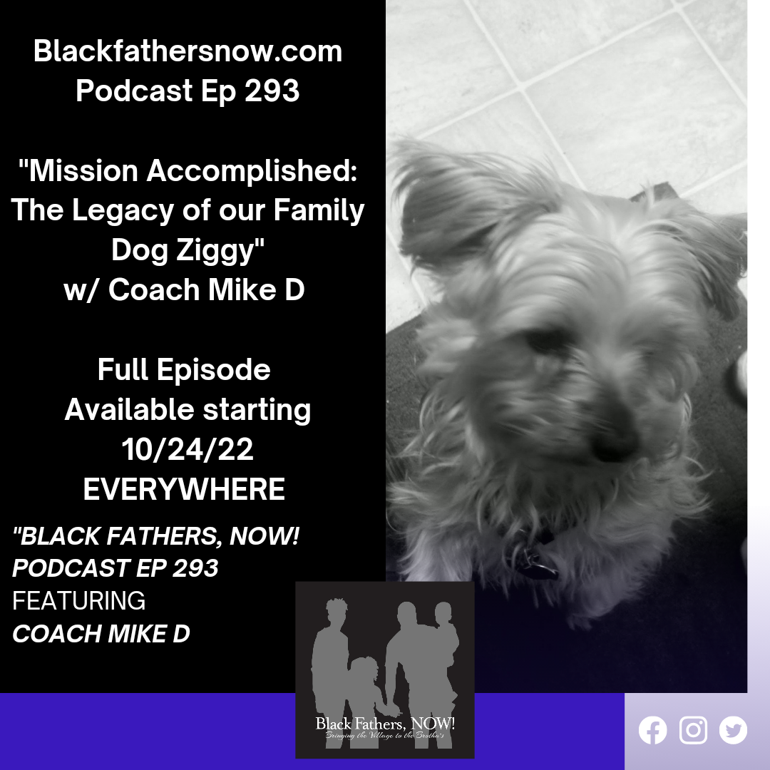 Ep: 293-Mission Accomplished: The Legacy of our Family Dog Ziggy w/ Coach Mike D