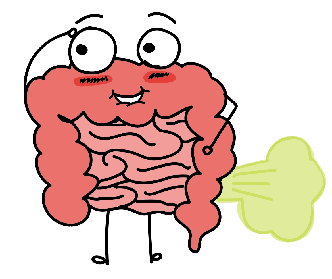 Why do we Fart?