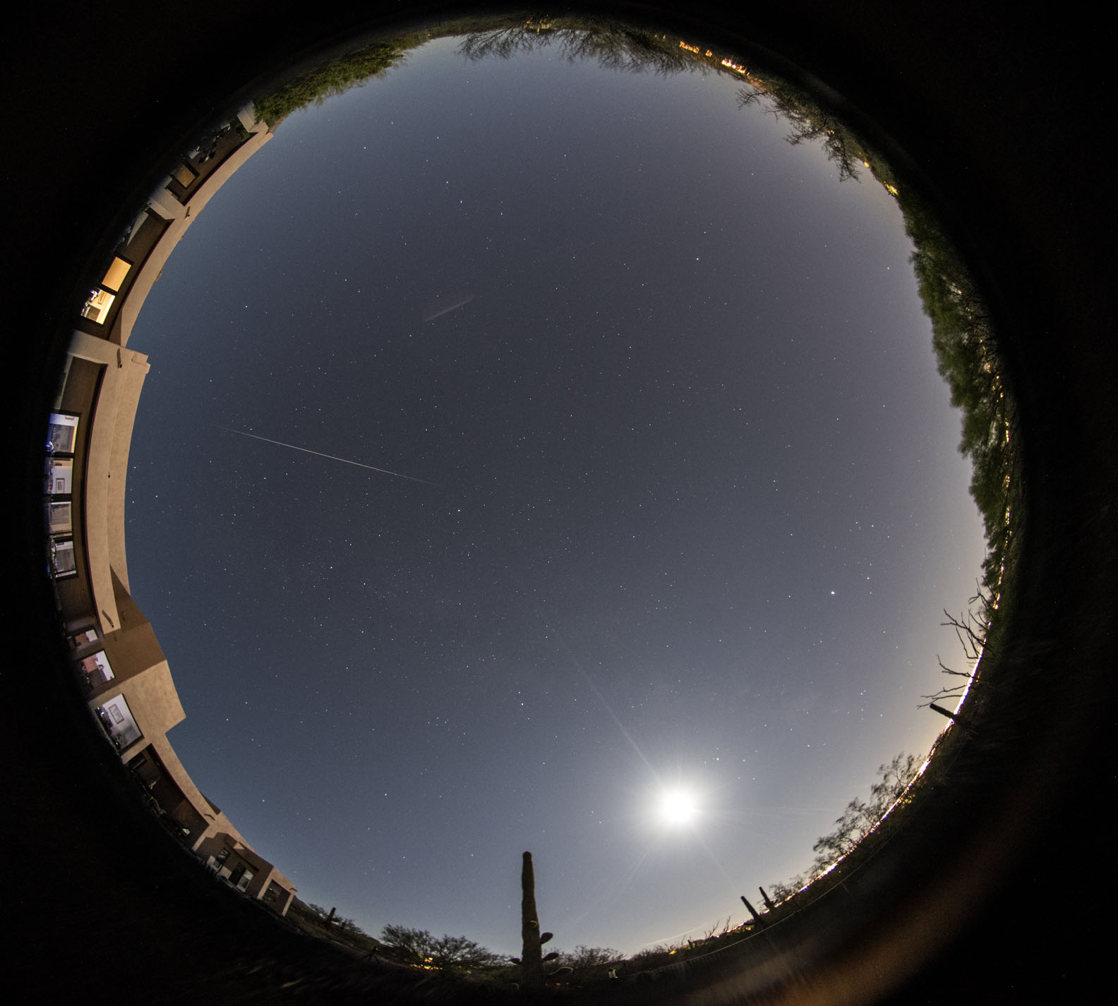 Minnesota Night Skies: Keep the moon at your back and enjoy the Perseids!
