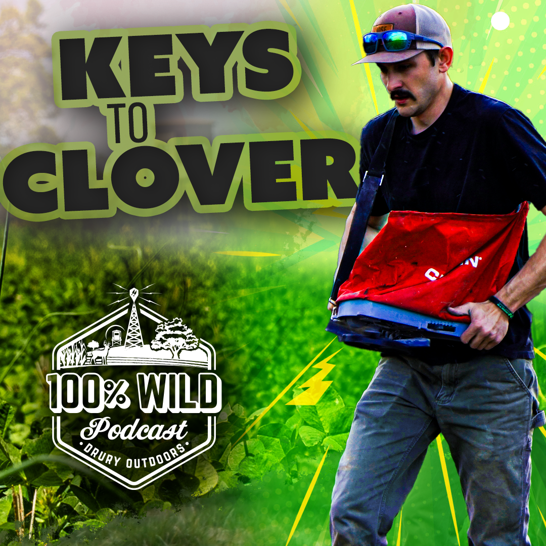 The 100% Wild Podcast