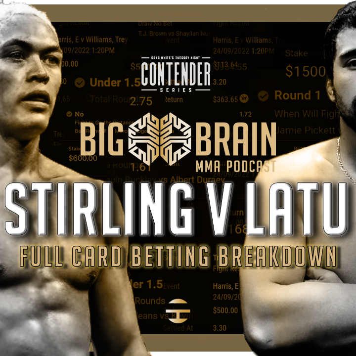 Big Brain MMA Podcast