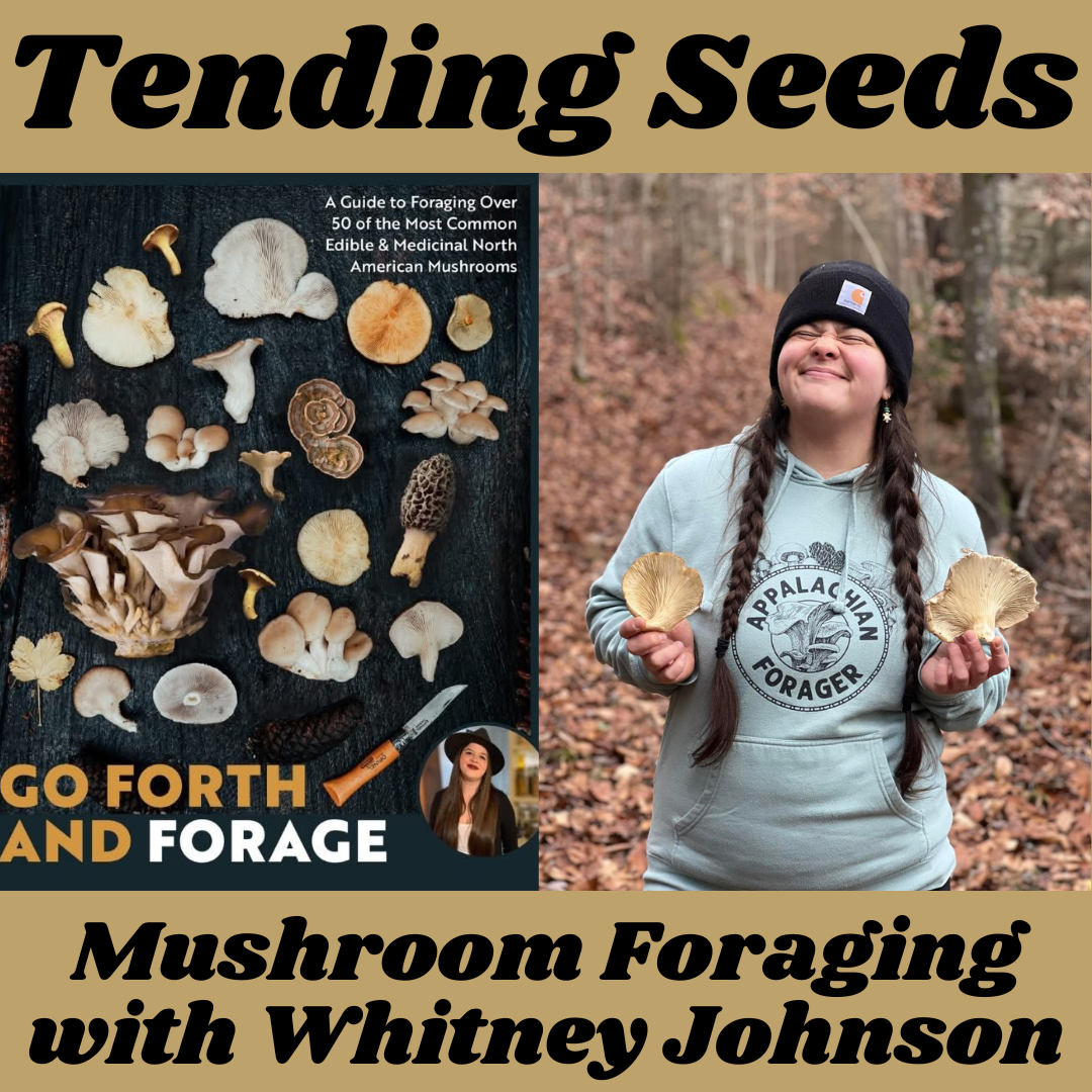 Tending Seeds: Adventures in Gardening, Homesteading, and Herbalism
