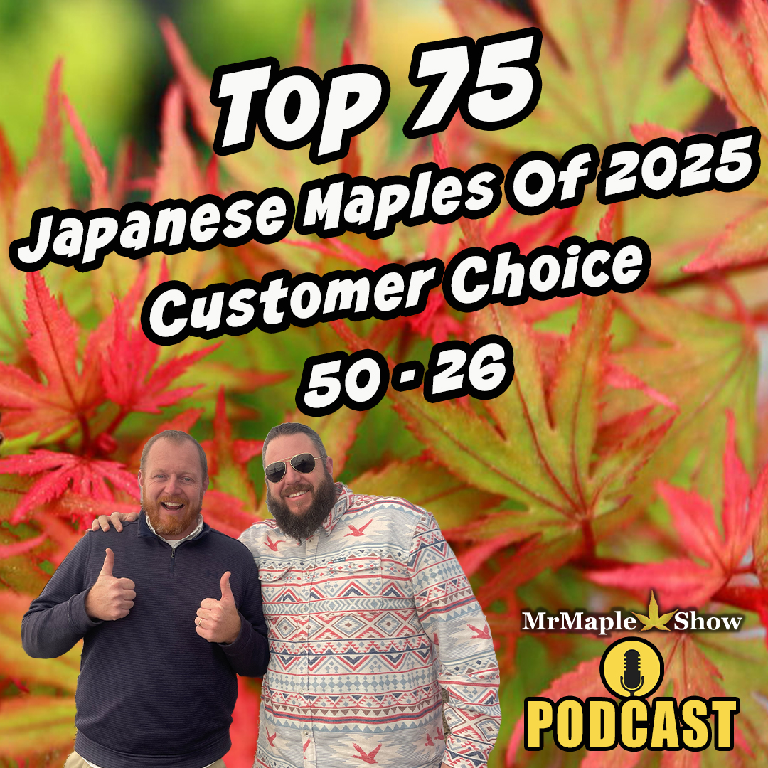 Top 75 Japanese Maples Of 2025 Customer Choice #50-26 | MrMaple Show Podcast