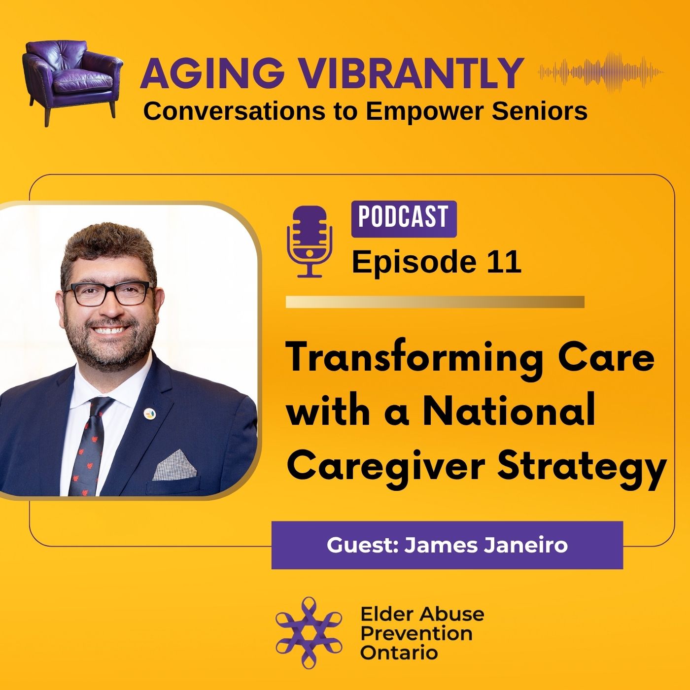Aging Vibrantly : Conversations to Empower Seniors