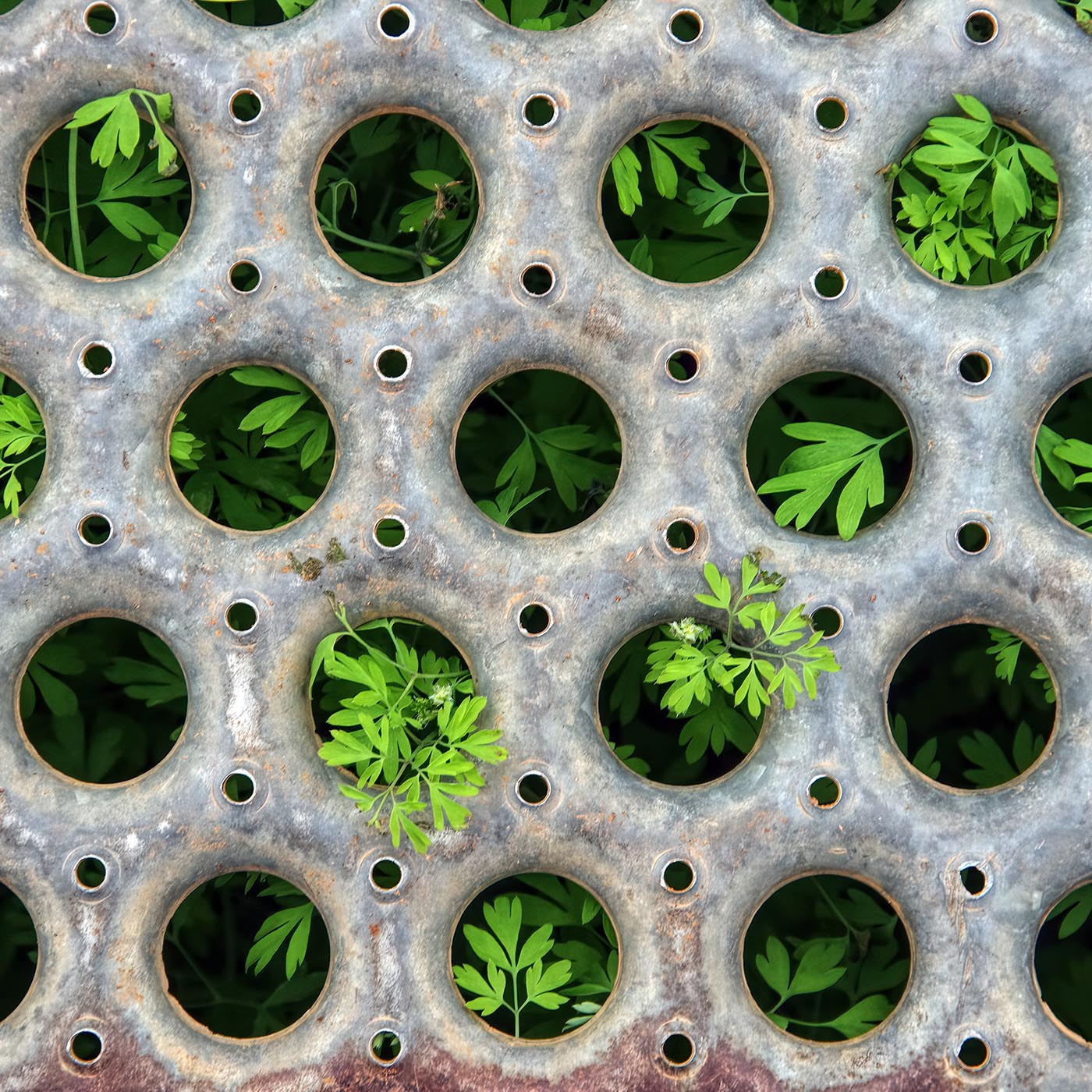 cover of episode How companies, countries are beginning to put a value on nature