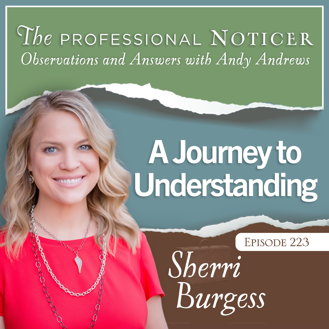The Professional Noticer