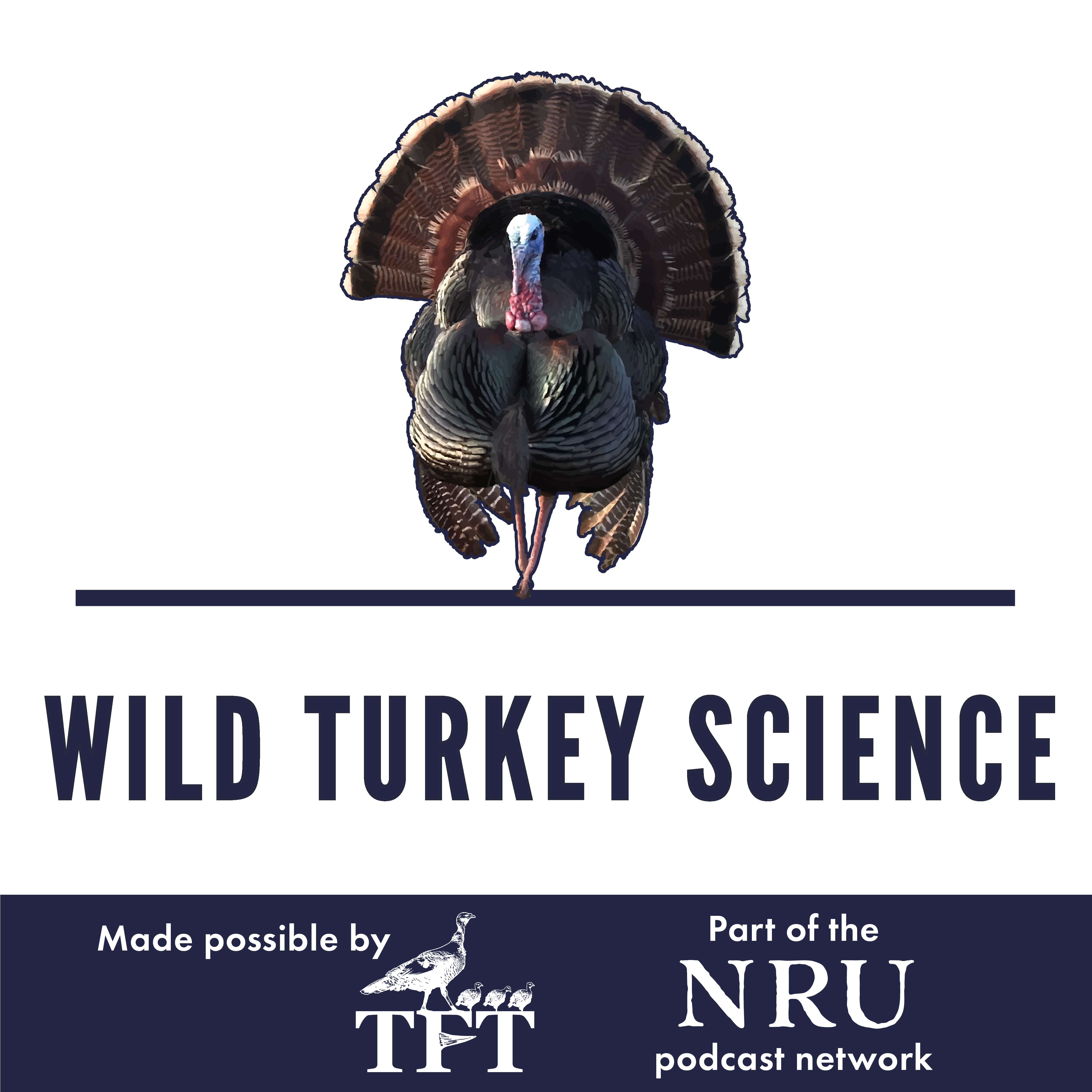Food plotting in nature’s image | Wild Turkey Science #291