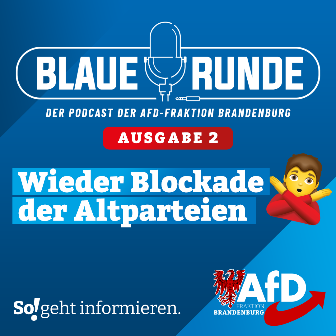Wieder Blockade der Altparteien! | Die Blaue Runde, Ausgabe 2/25 vom 14.01.2025