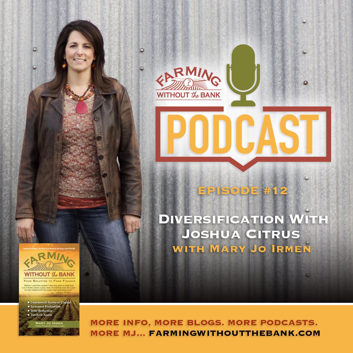 Ep. 12 - Diversification, with Joshua Citrus