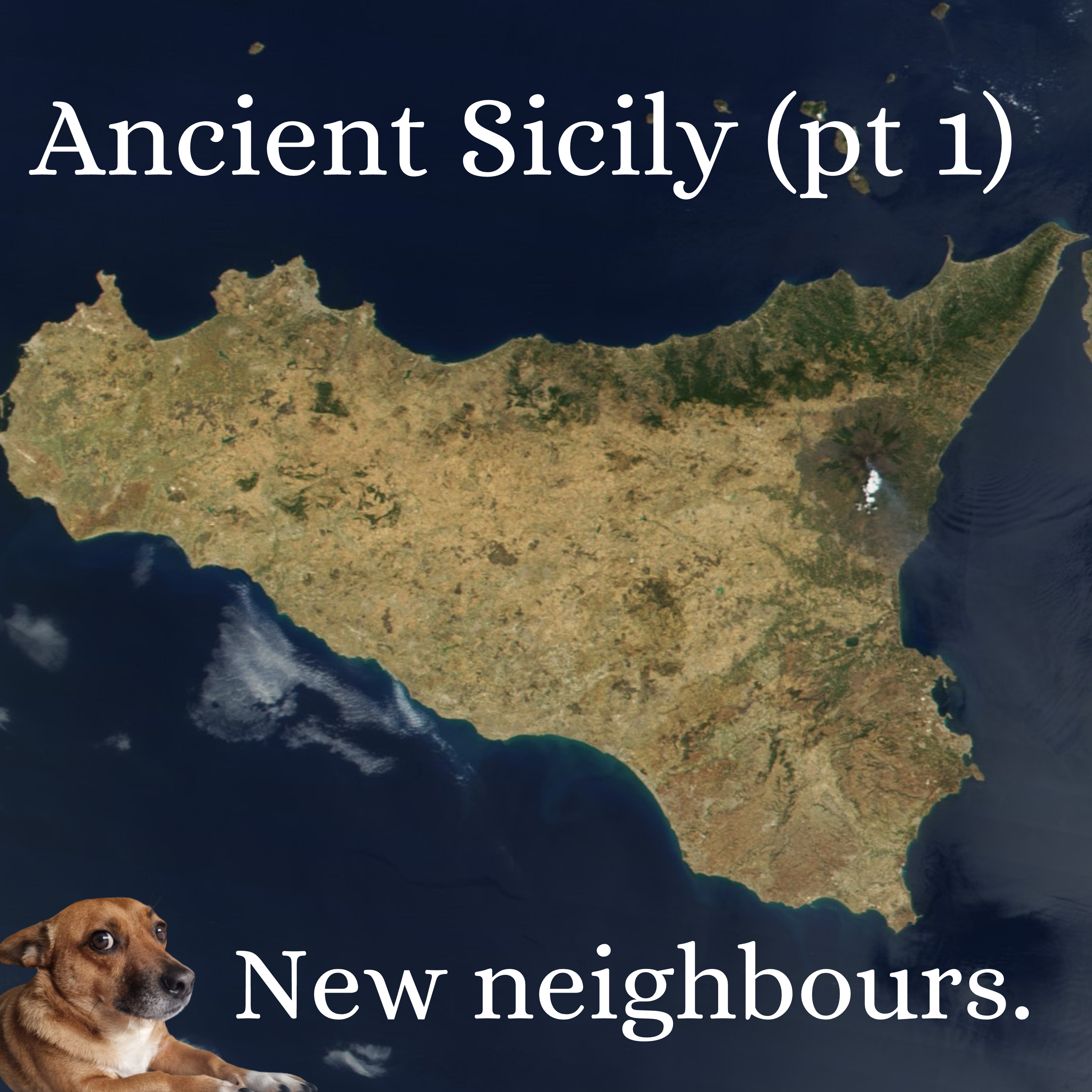 Ancient History Hound