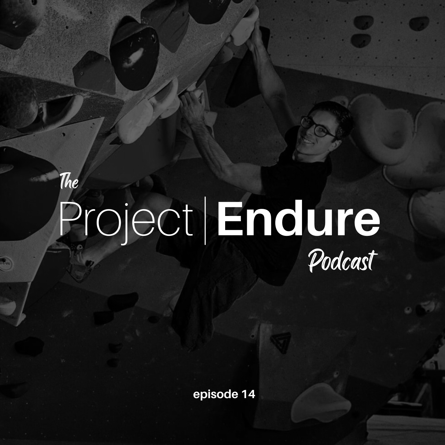 Project Endure Podcast