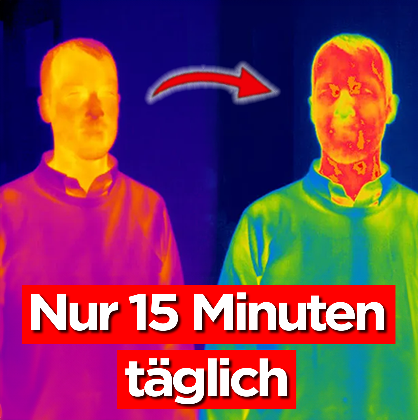 Gesundheit Ganzheitlich