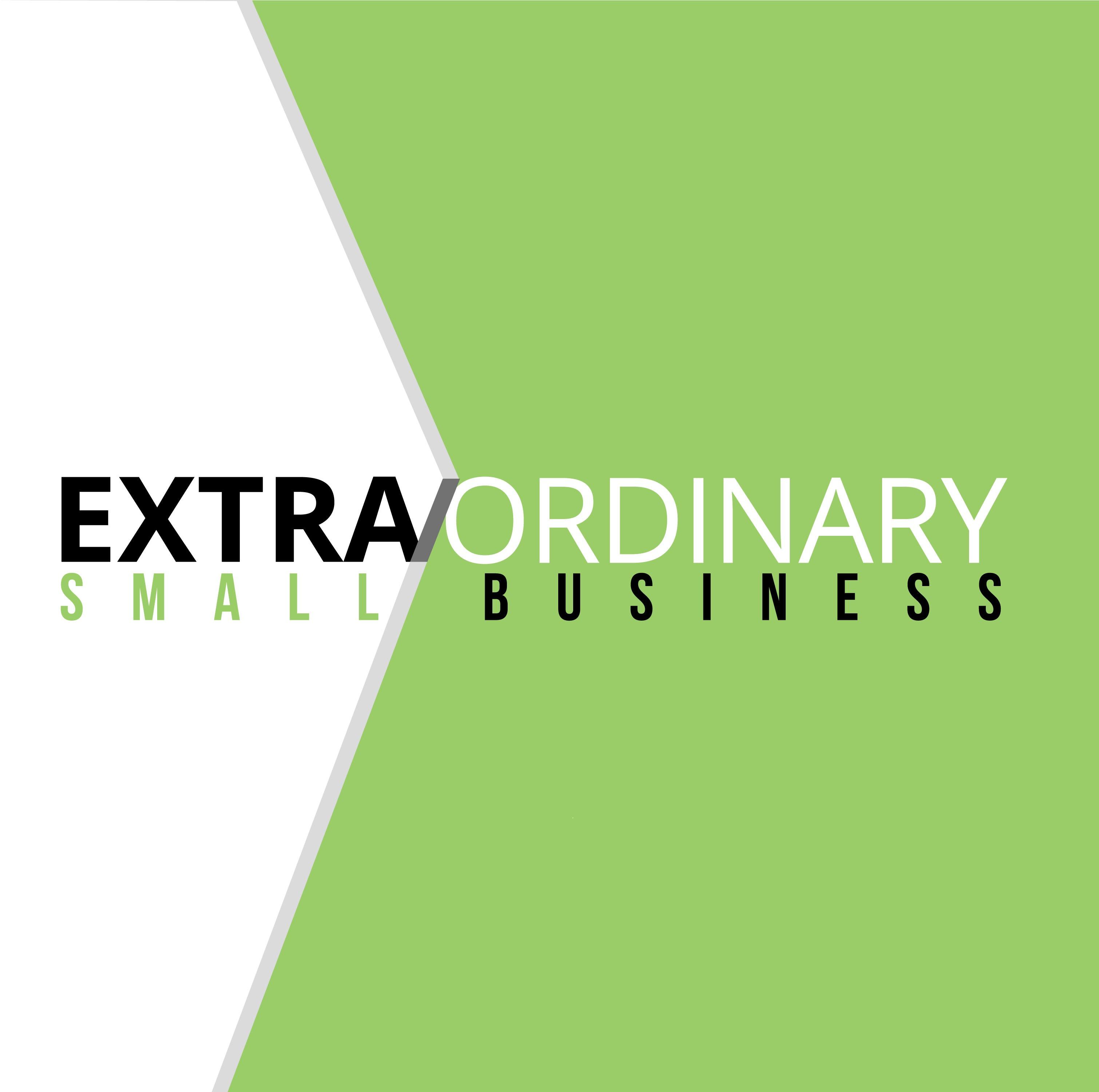Extra/Ordinary Small Business