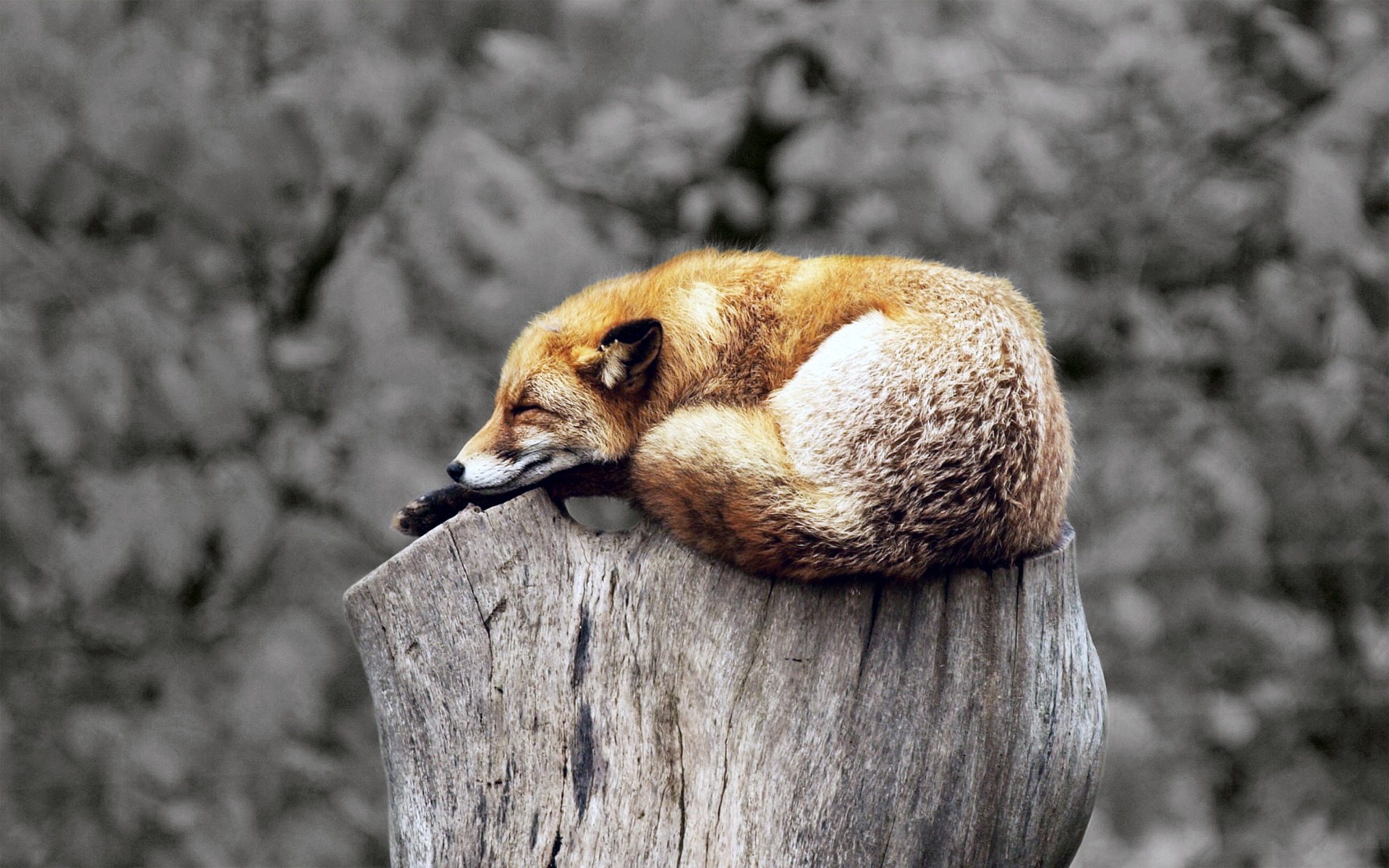 Guided Sleep Meditation, Sleep Talk Down to Remove Limiting Beliefs (With Positive Affirmations)