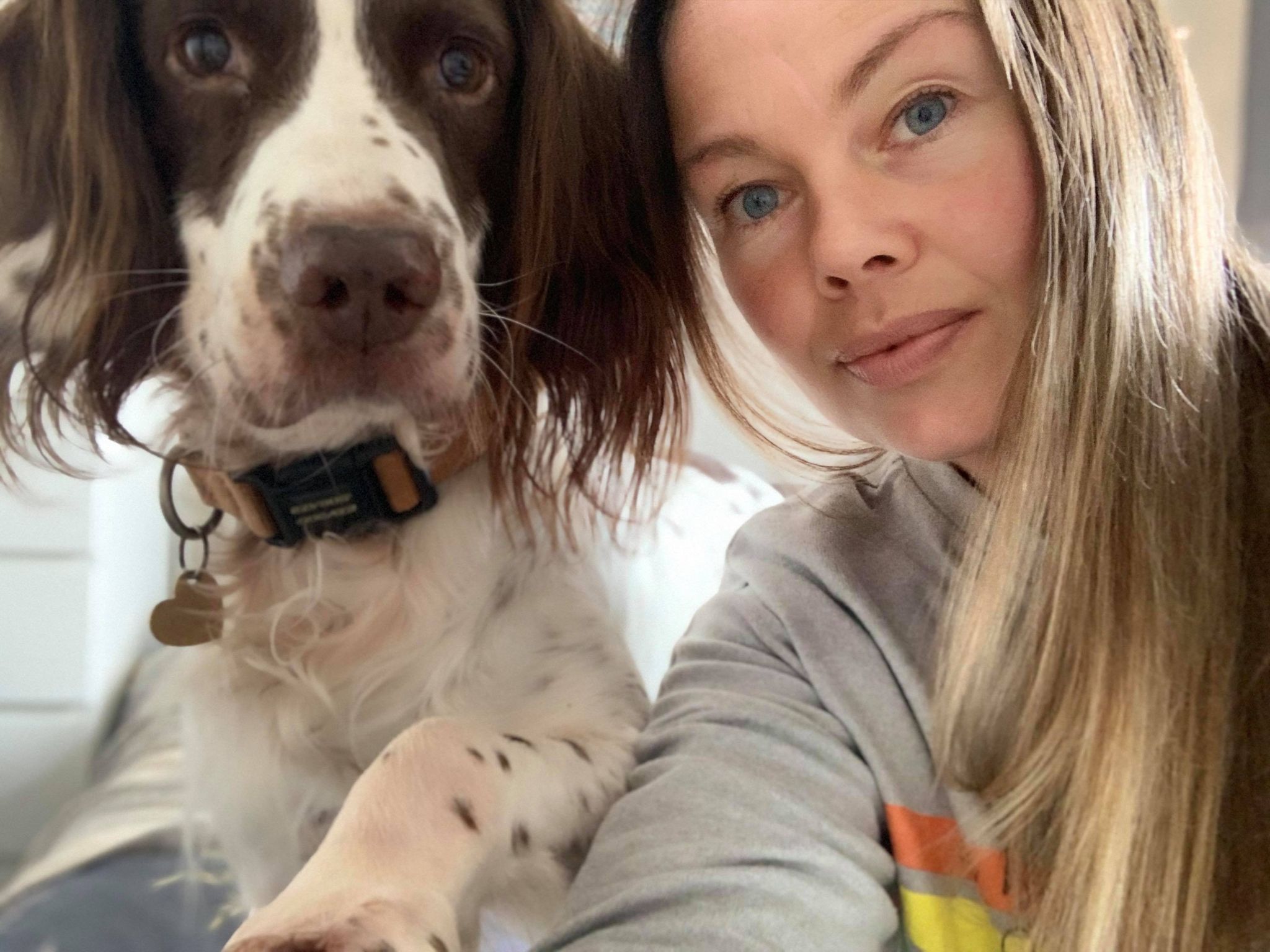 Vermont Dog Trainer Show