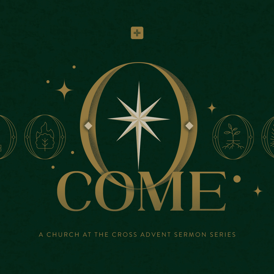 O Come Wisdom