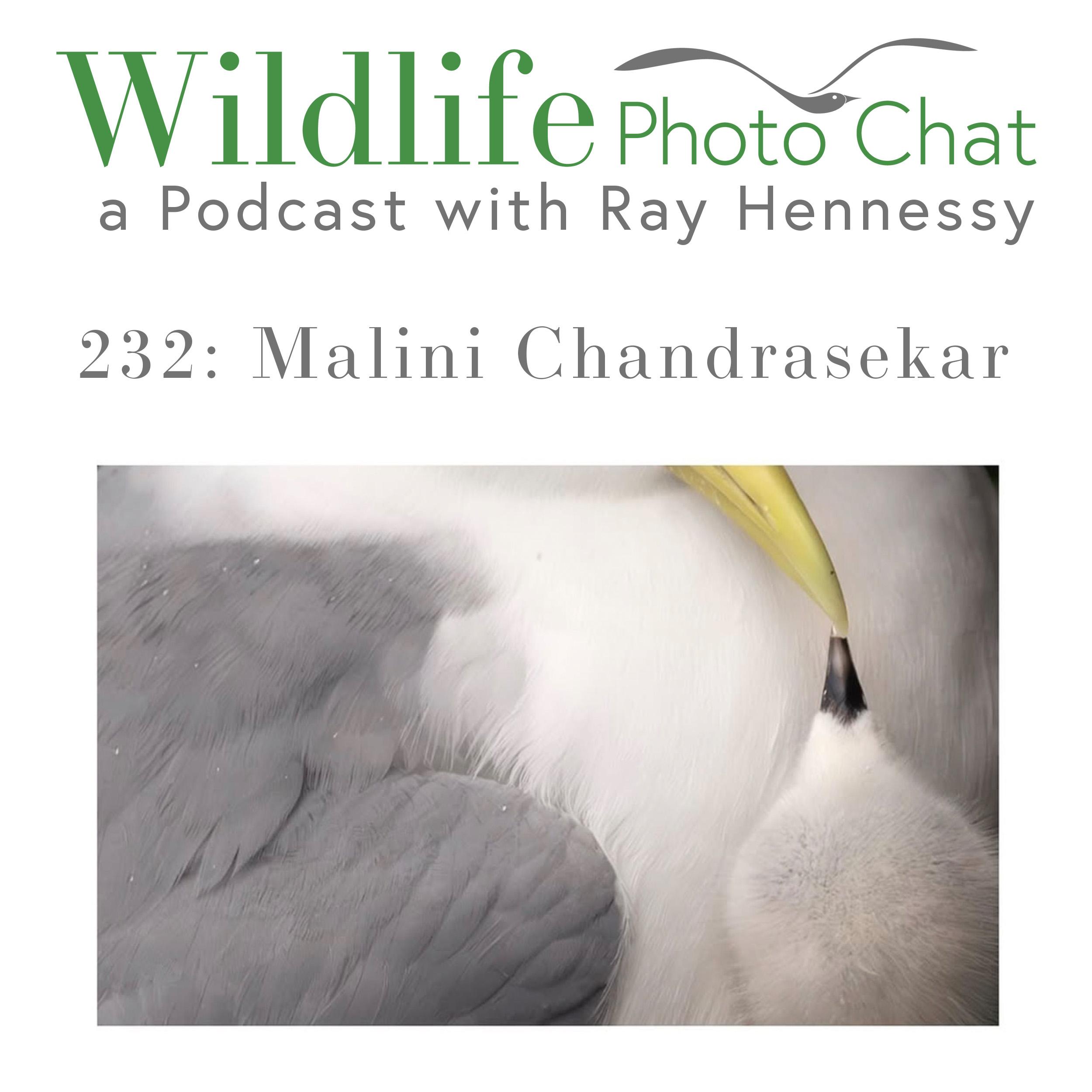 232: Malini Chandrasekar