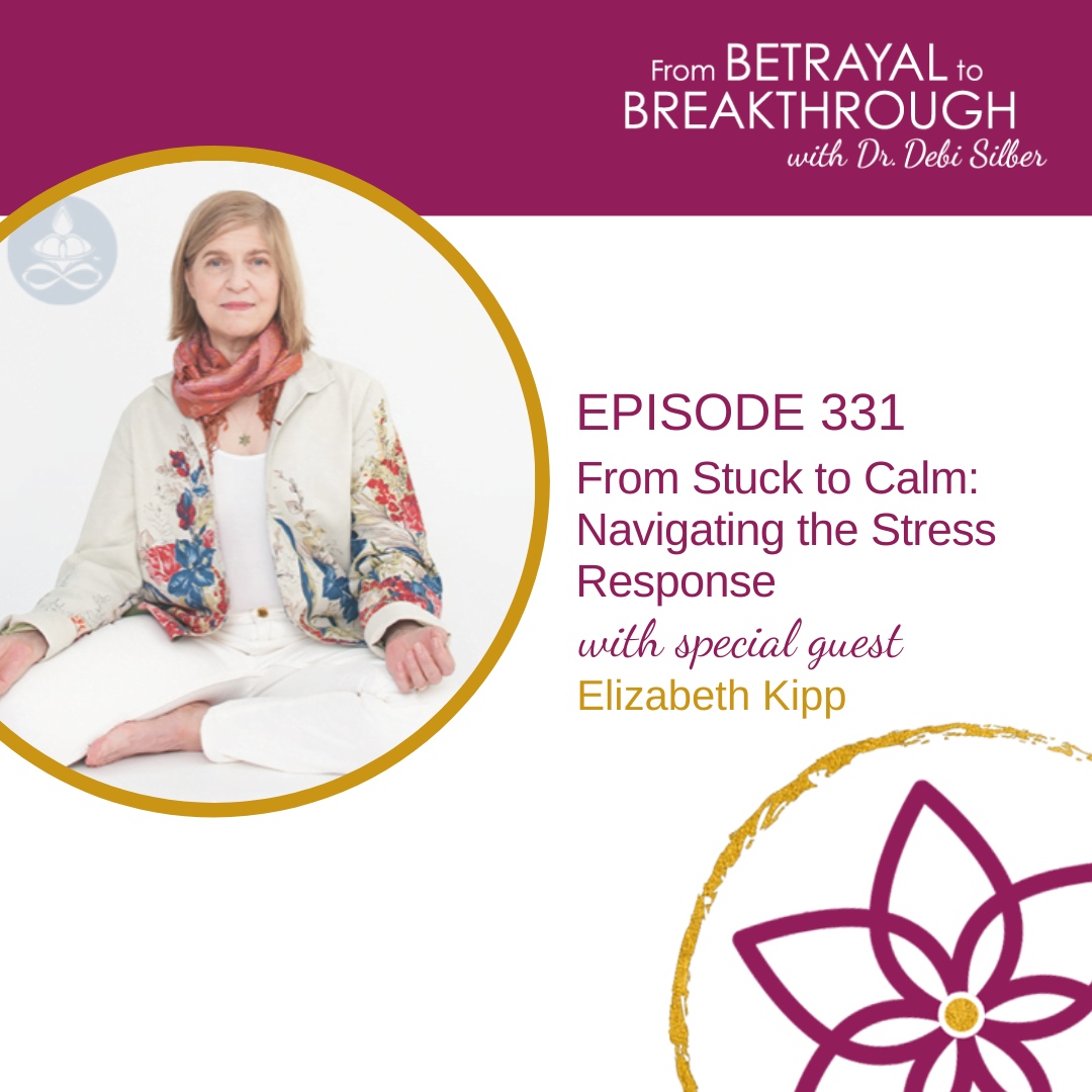 331: Rebuild, Reset, Restore with Elizabeth Kipp