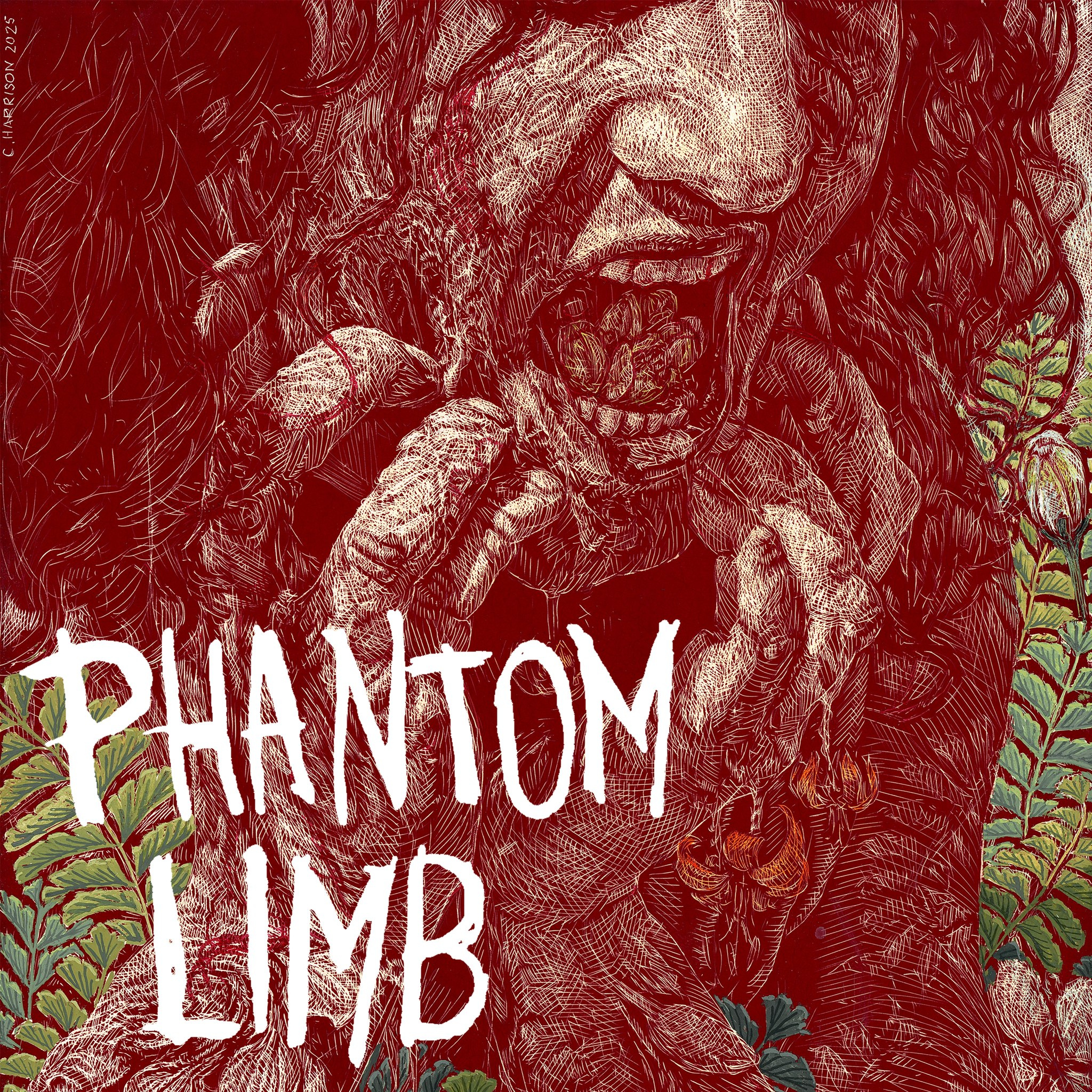 Phantom Limb Artwork