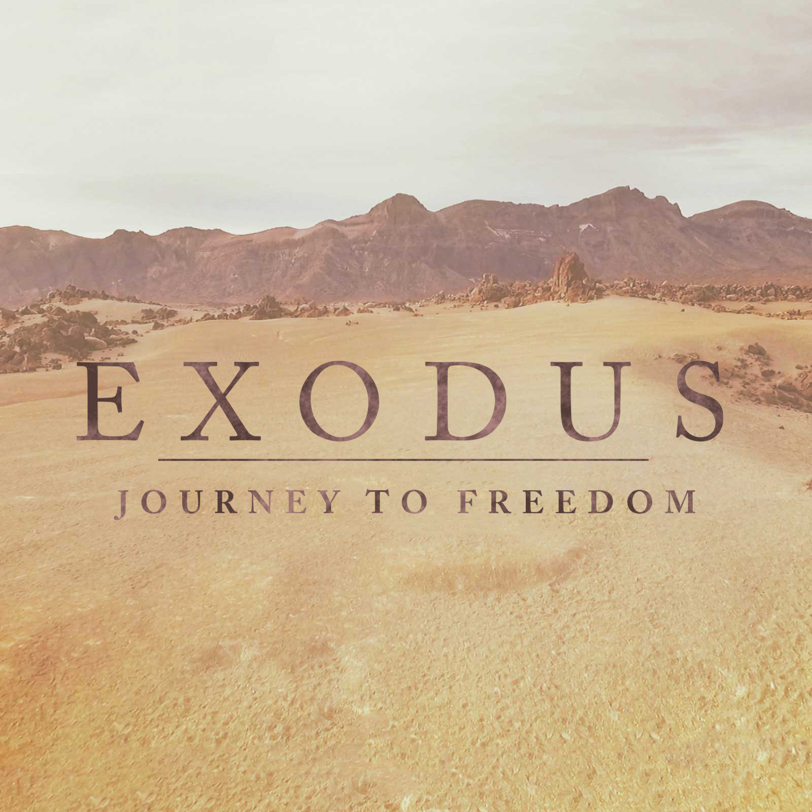 Exodus Series: The Plagues and Passover