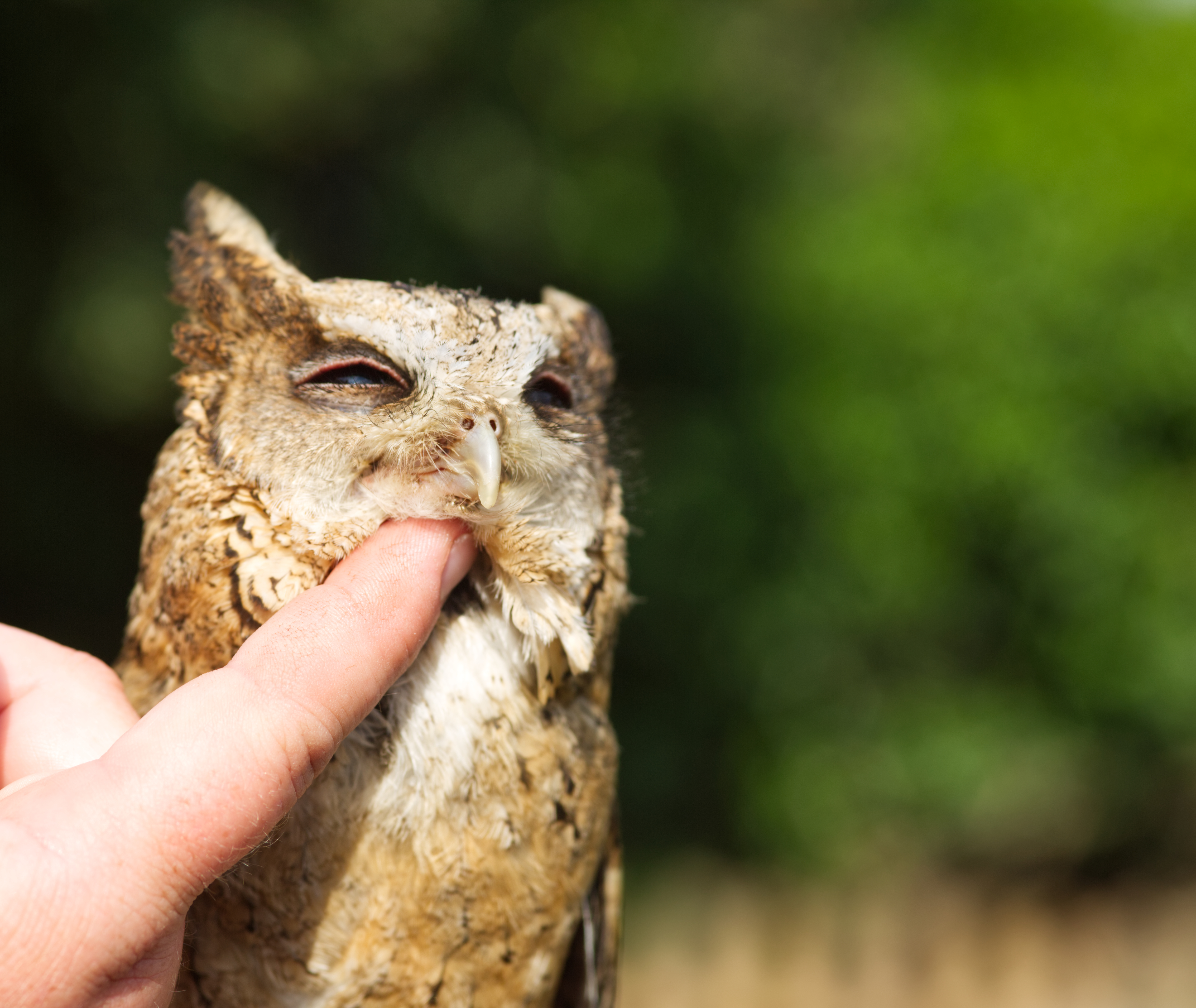 How to add emotion to your amazing video