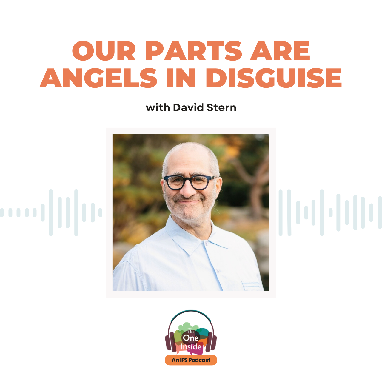 Our Parts Are Angels In Disguise with David Stern