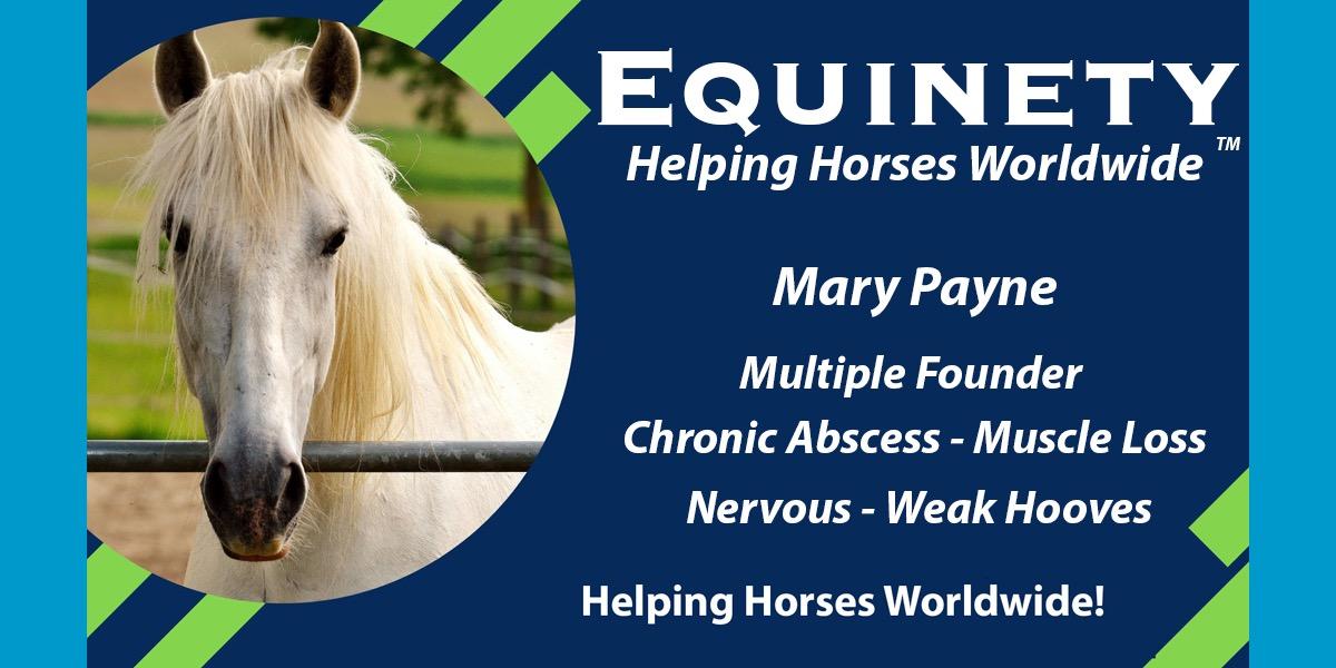 Team Equinety Podcast