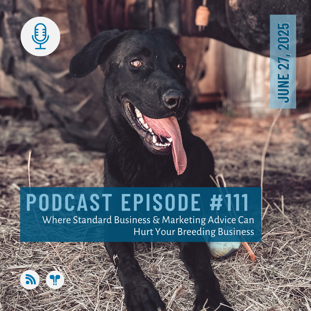 #111 - Where Breeders Are Bleeding Money Part 3/3 - Marketing Money Leaks