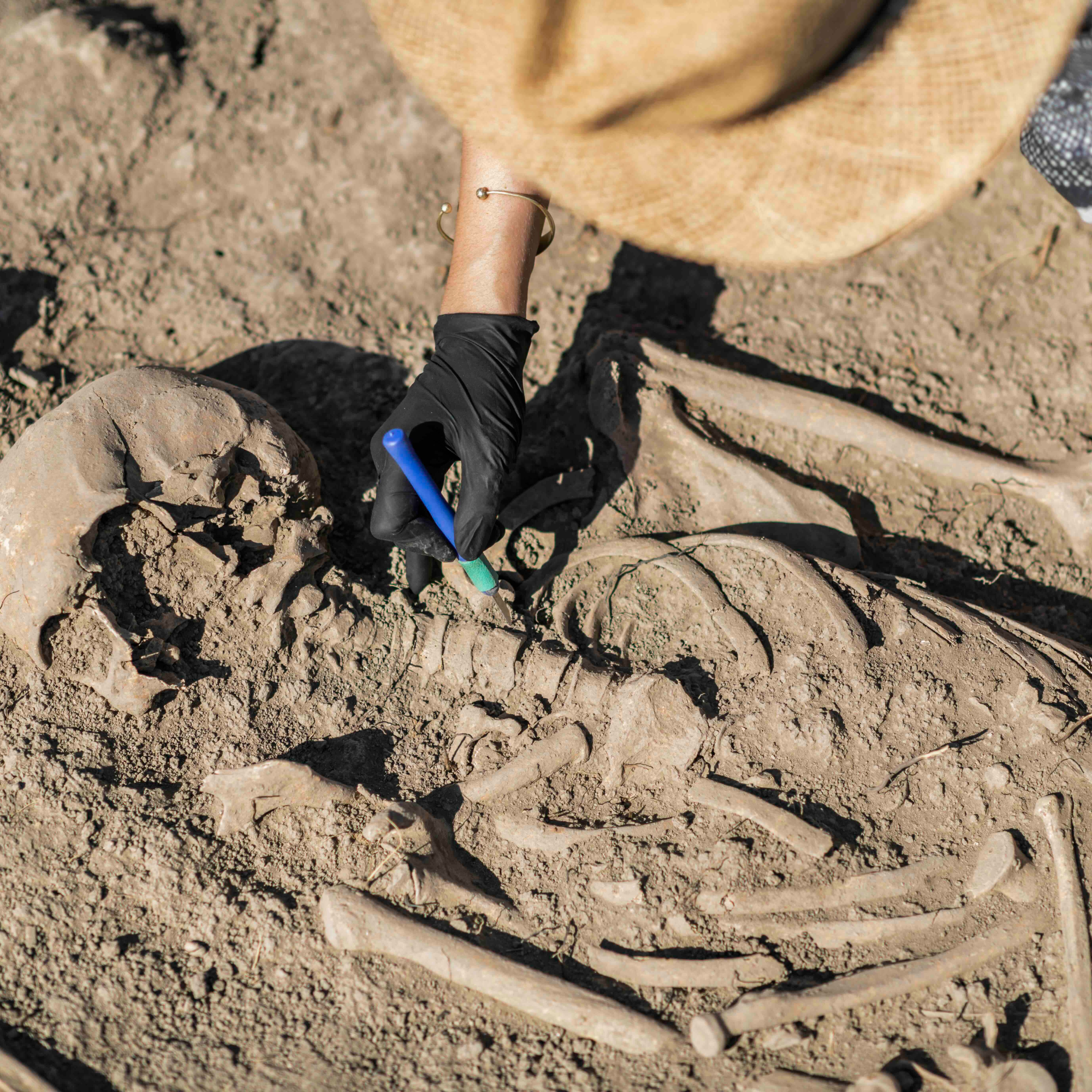 How Old Are Fossils?