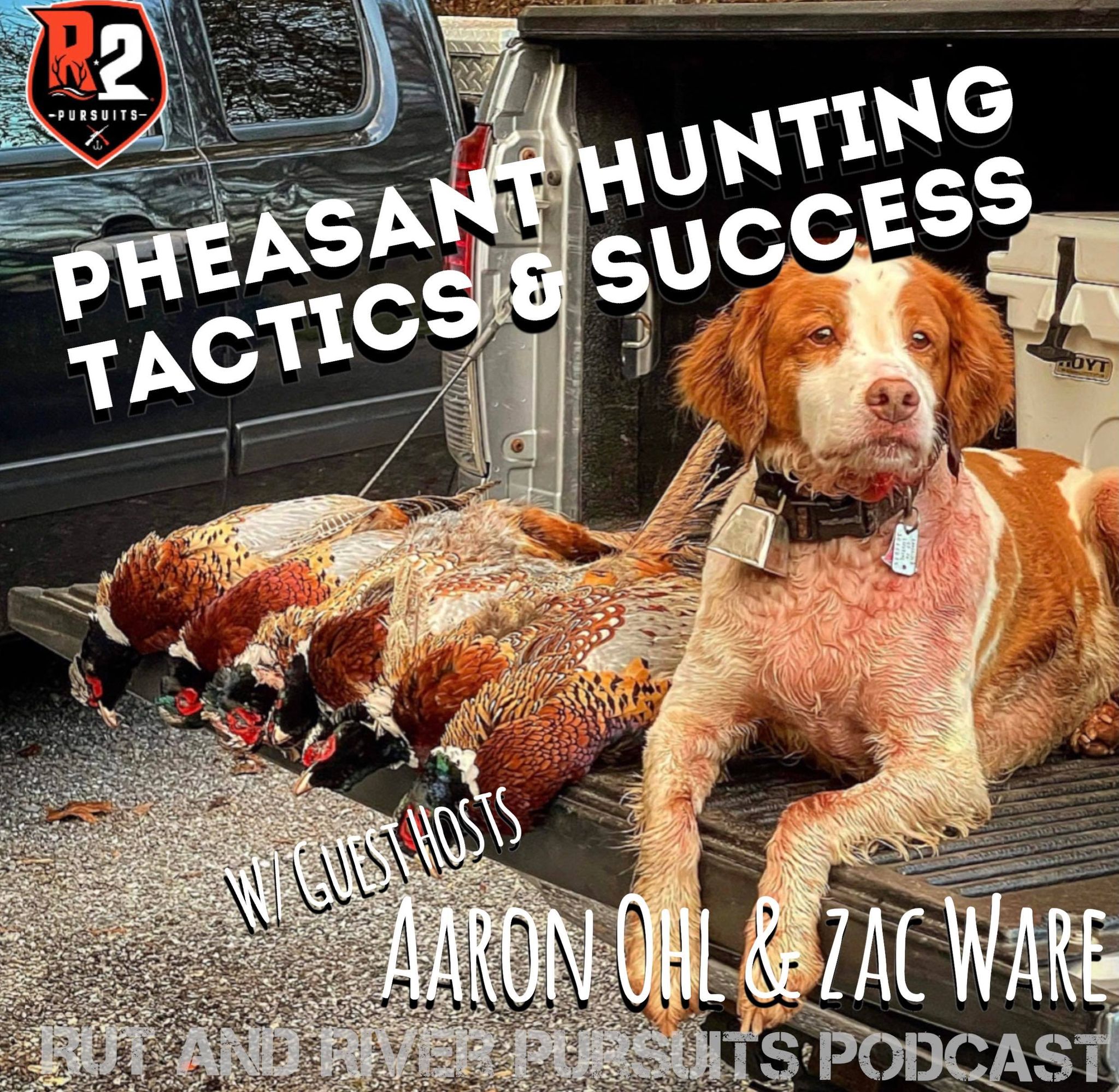 Pheasant Hunting Tactics & Success - Guest Hosts Aaron Ohl & Zac Ware