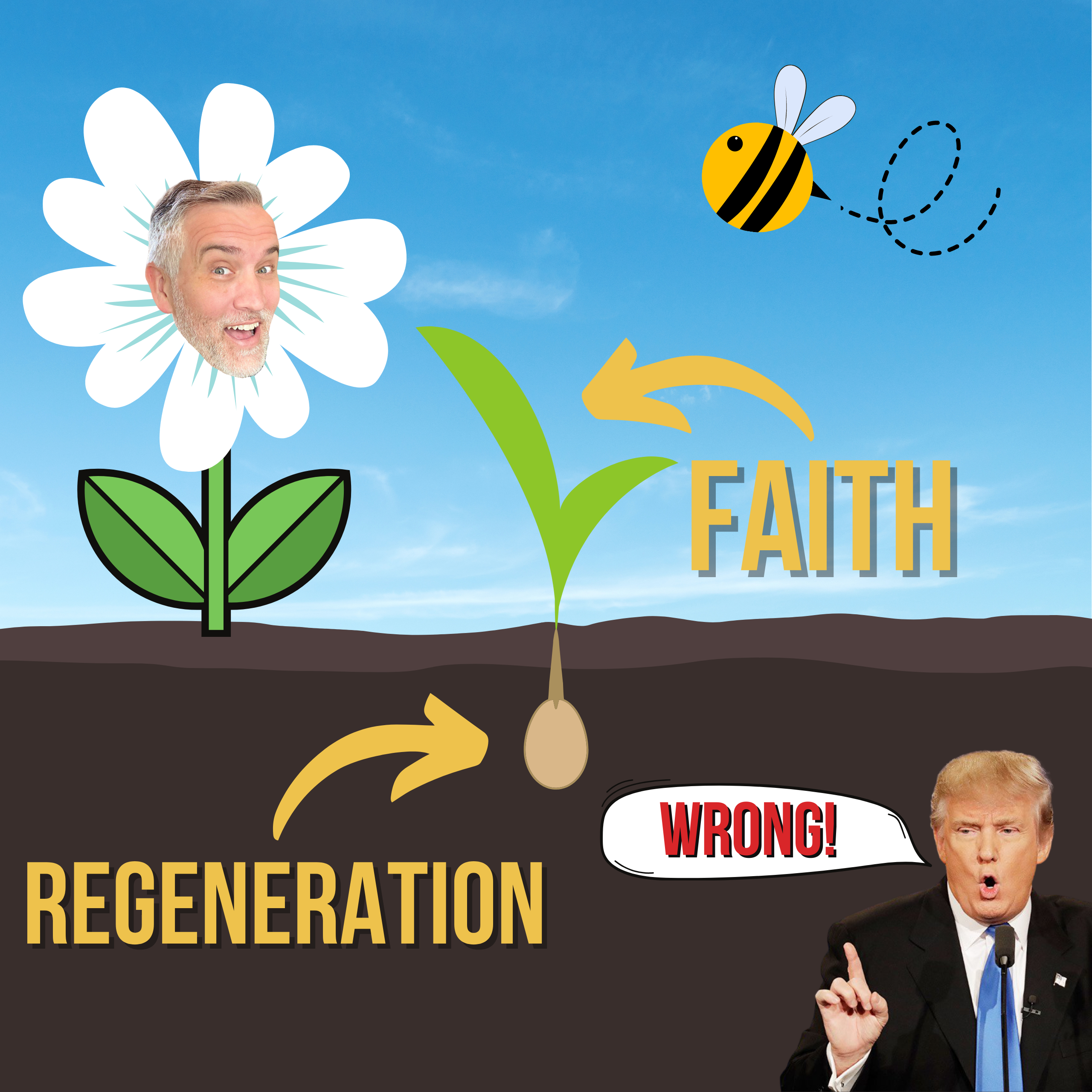 Does Regeneration Cause Faith?