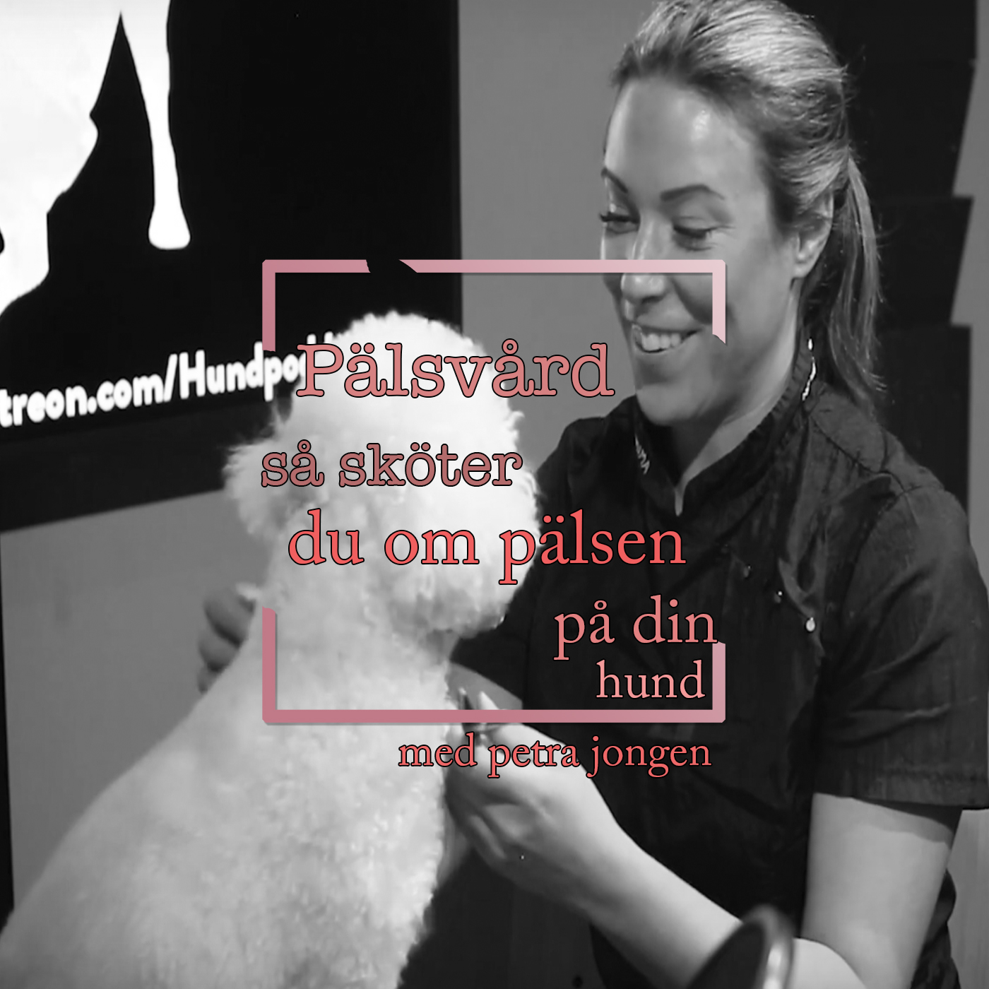 Hundpodden Vår Bästa Vän