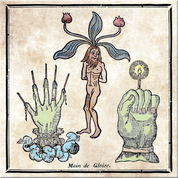 MICROGORIA 43 – The Hand of Mandragora