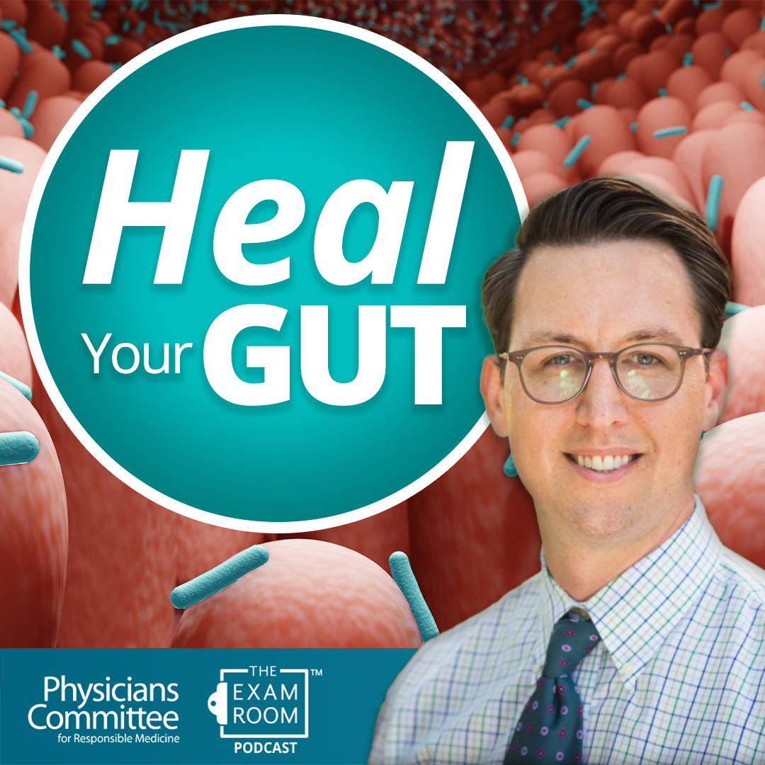 Foods That Heal Your Gut | Dr. Will Bulsiewicz Live Q&A