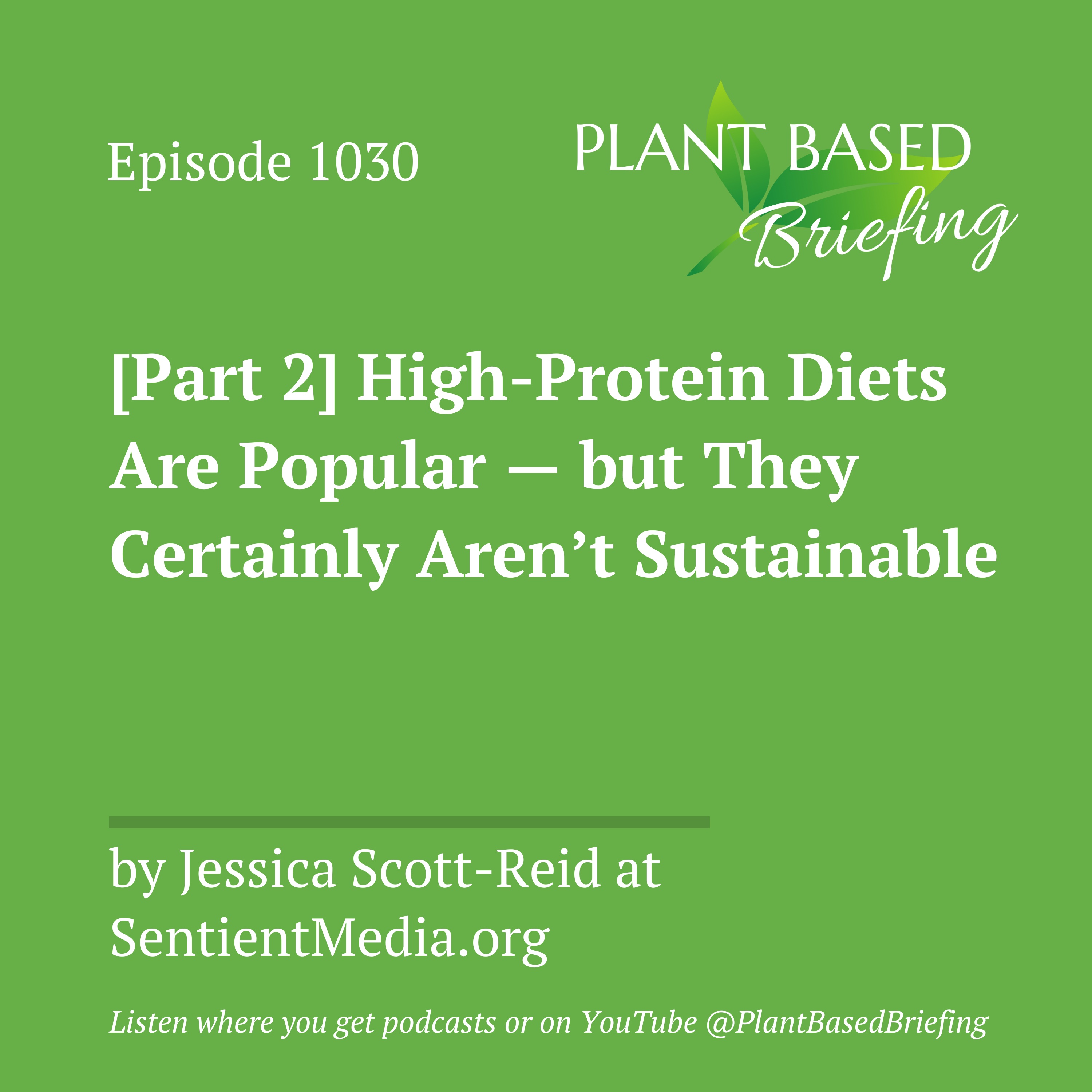 Plant Based Briefing