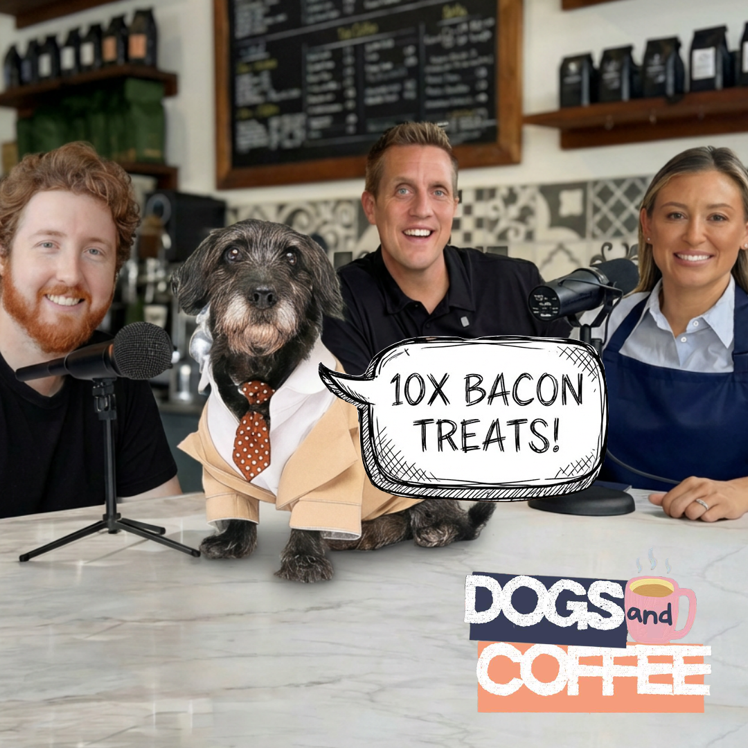 This Company LEGALLY made a DOG their CEO 😅