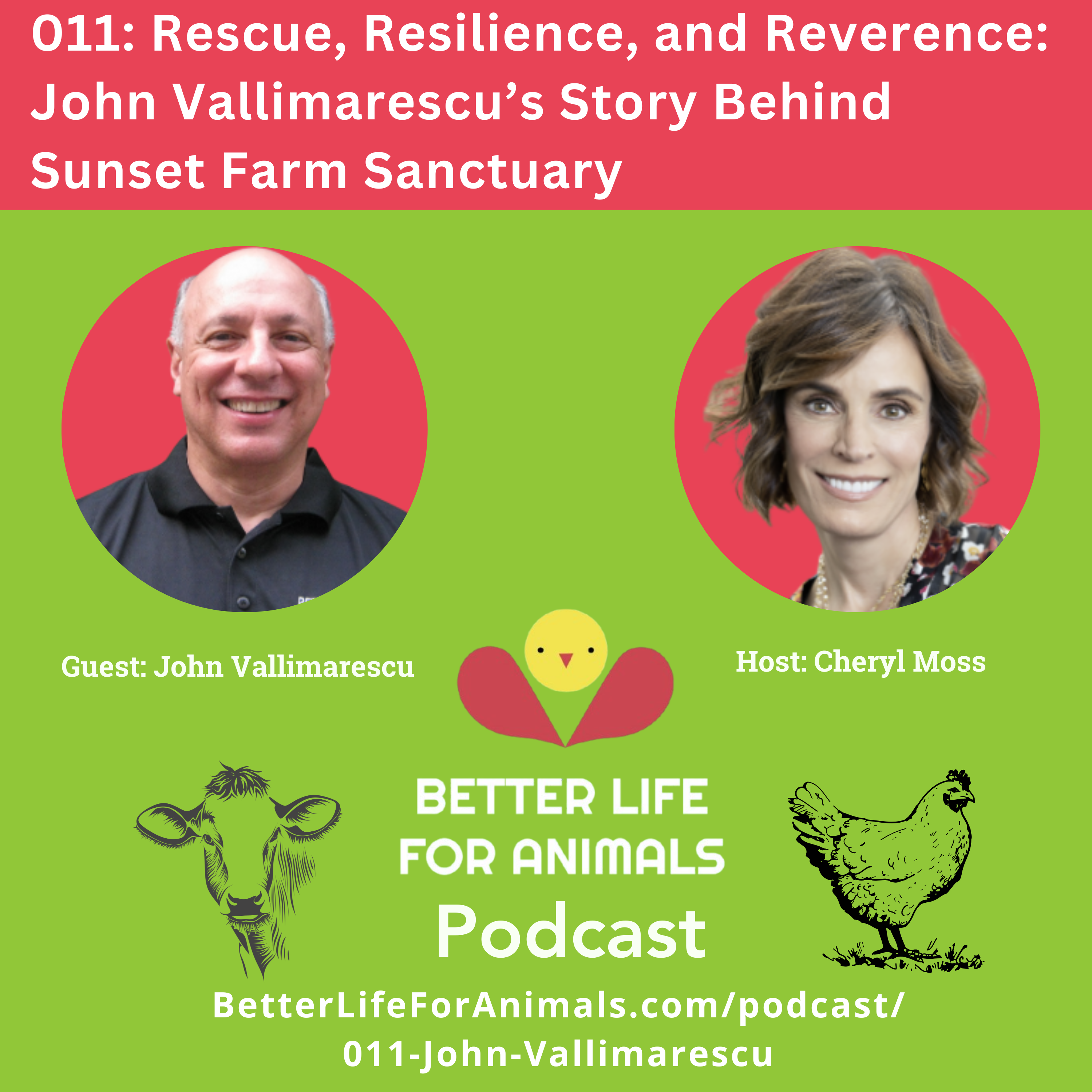 011: Rescue, Resilience, and Reverence: John Vallimarescu’s Story Behind Sunset Farm Sanctuary