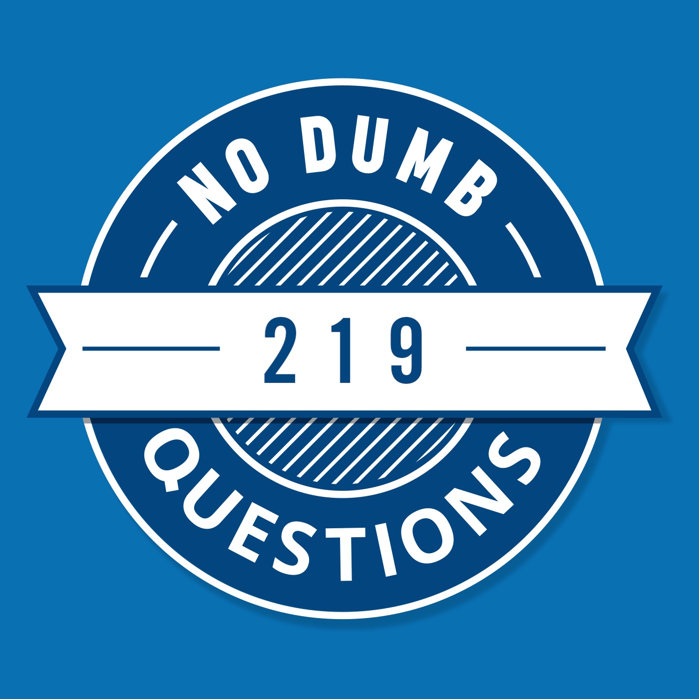 219 - A Very No Dumb Questions Christmas Special