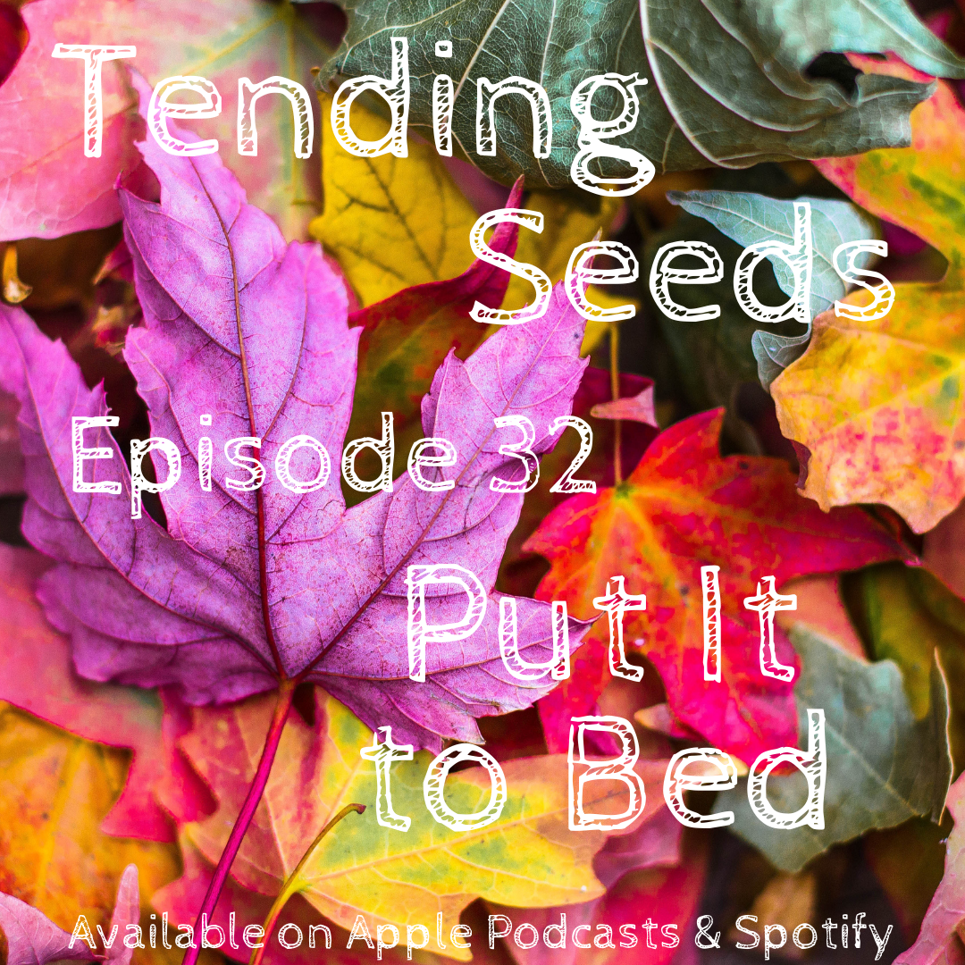 Tending Seeds: Adventures in Gardening, Homesteading, and Herbalism