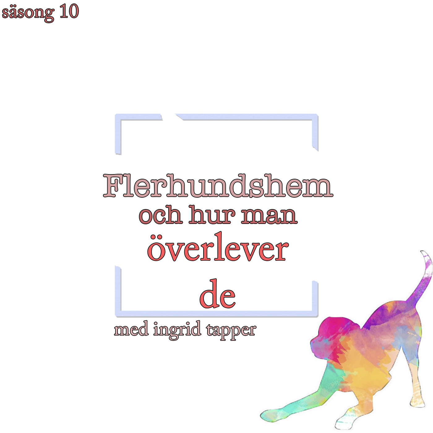 Hundpodden Vår Bästa Vän