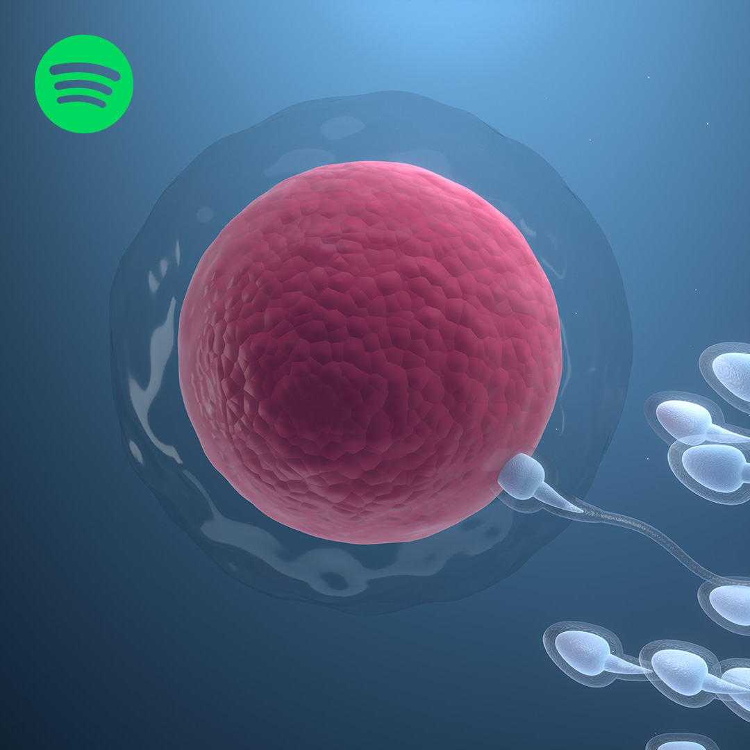 Kinderwunsch & Eizellqualität