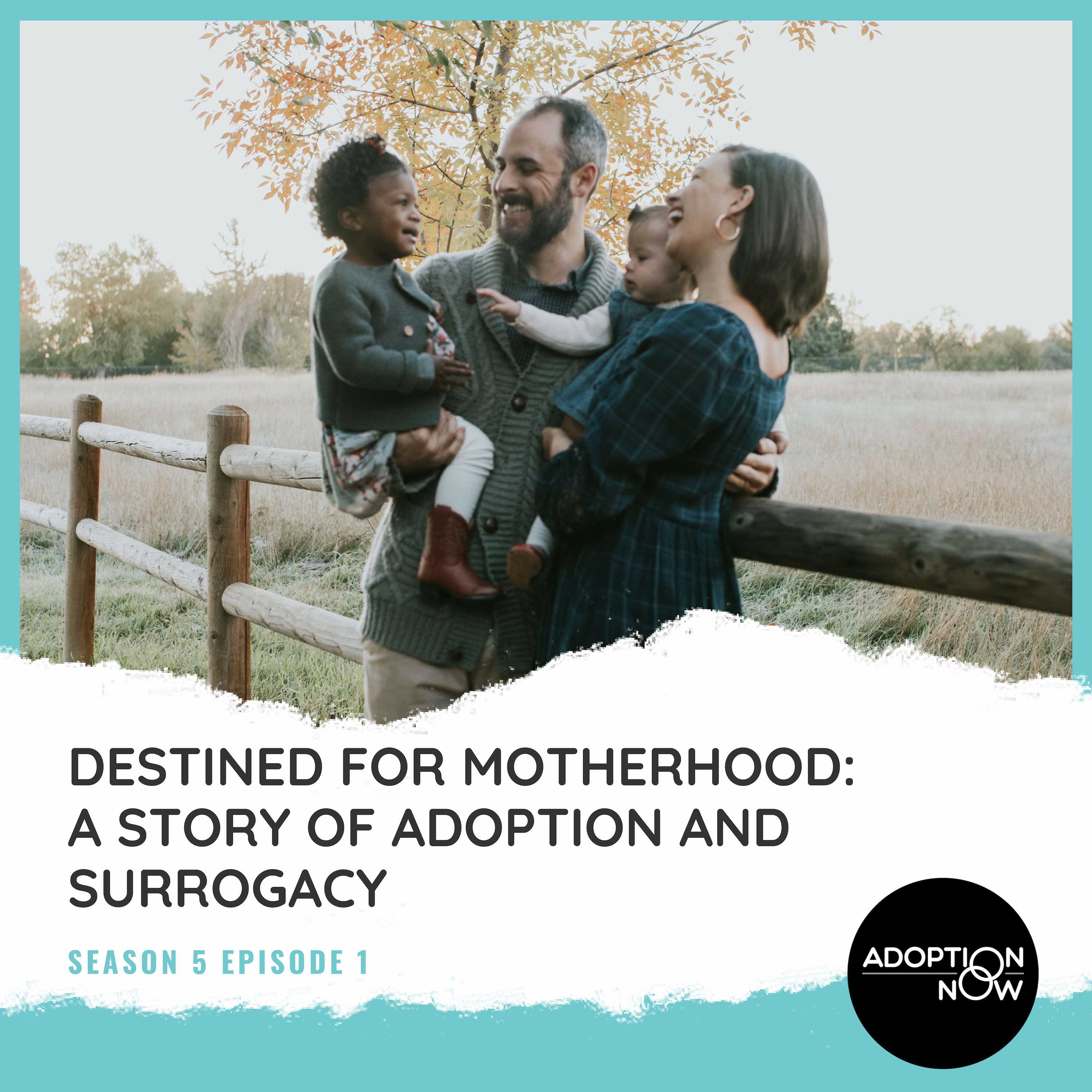 ADOPTION NOW