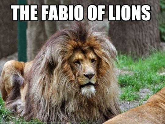 Sassy Memes