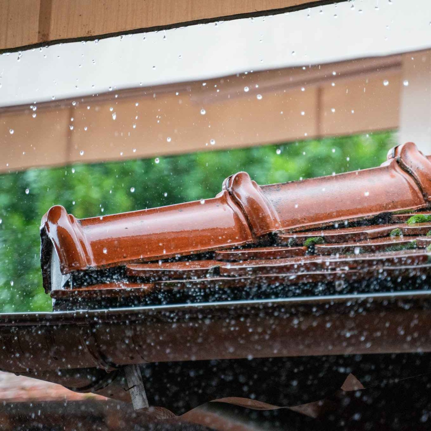 8 Hours of Rain on Roof Sounds For Stress Free Deep Sleep, Meditation, Yoga, Spa, Cure Insomnia