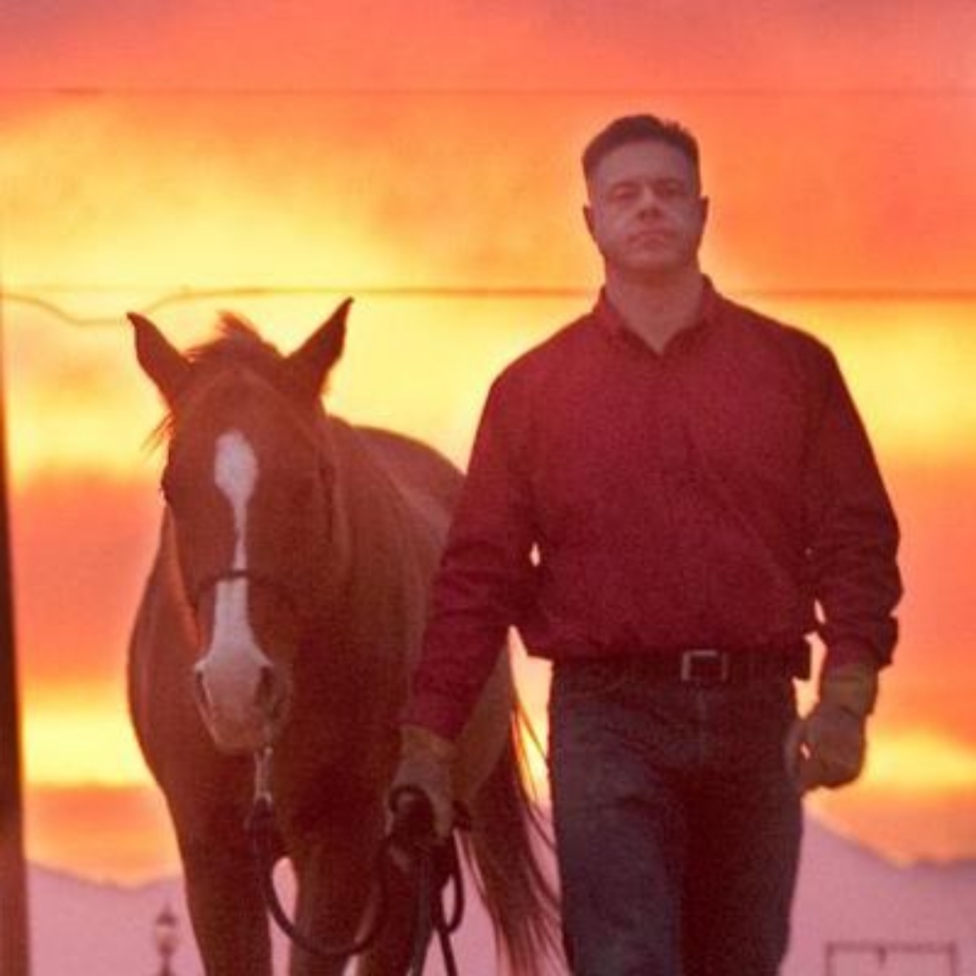 Reversing Diabetes with a Simple Diet Change—Dr. Adam Nally—Author of The Keto Cure and Founder of Docmuscles.com