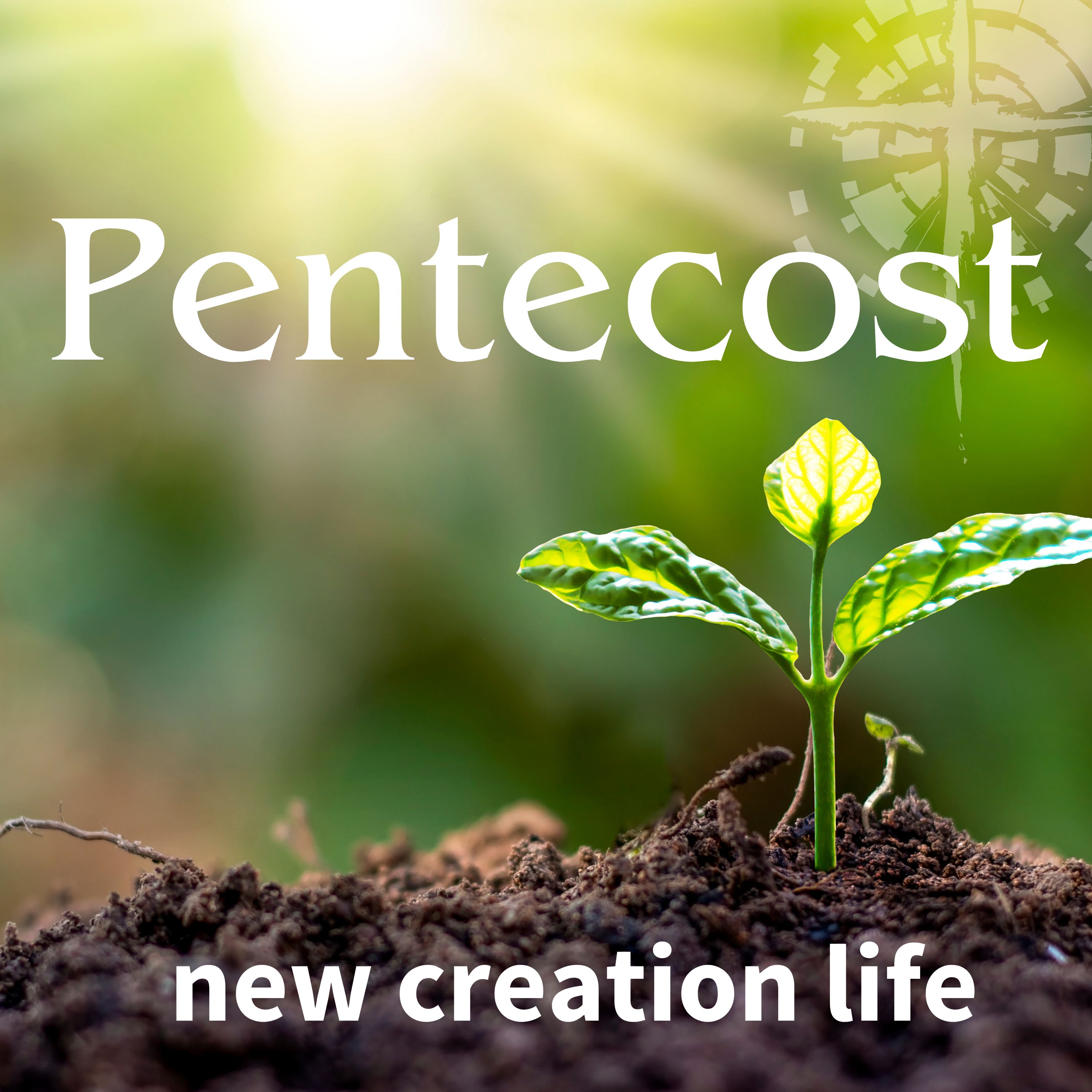 Christian Fellowship Church | Columbia