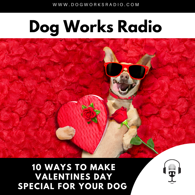 Dog Works Radio