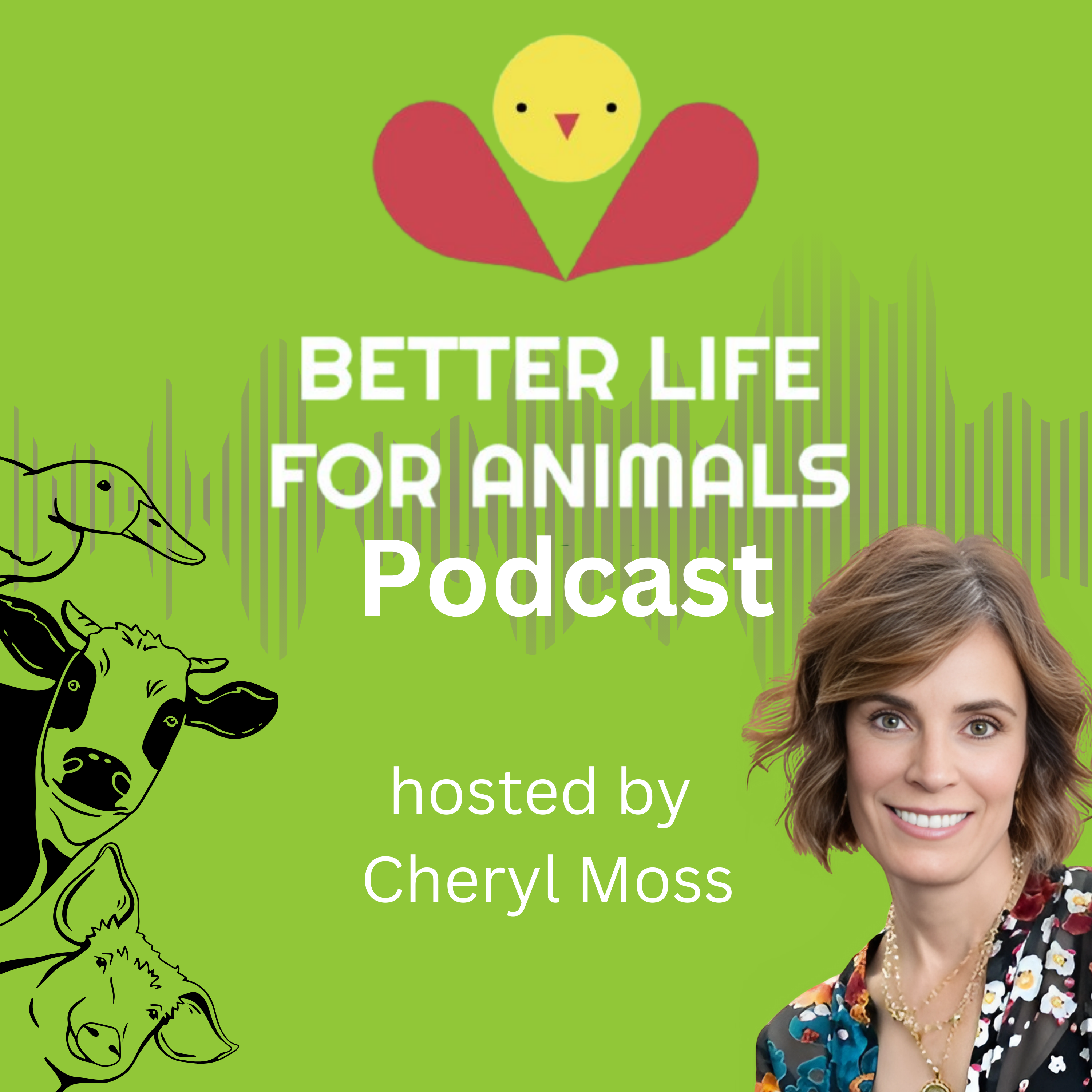 000: A Sanctuary for Hope: Welcome to Better Life for Animals
