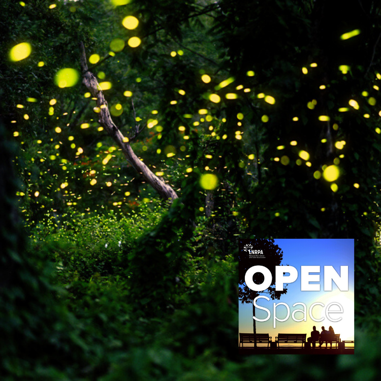 How Parks Can Ensure Fireflies Continue to Shine Bright — April Bonus Episode