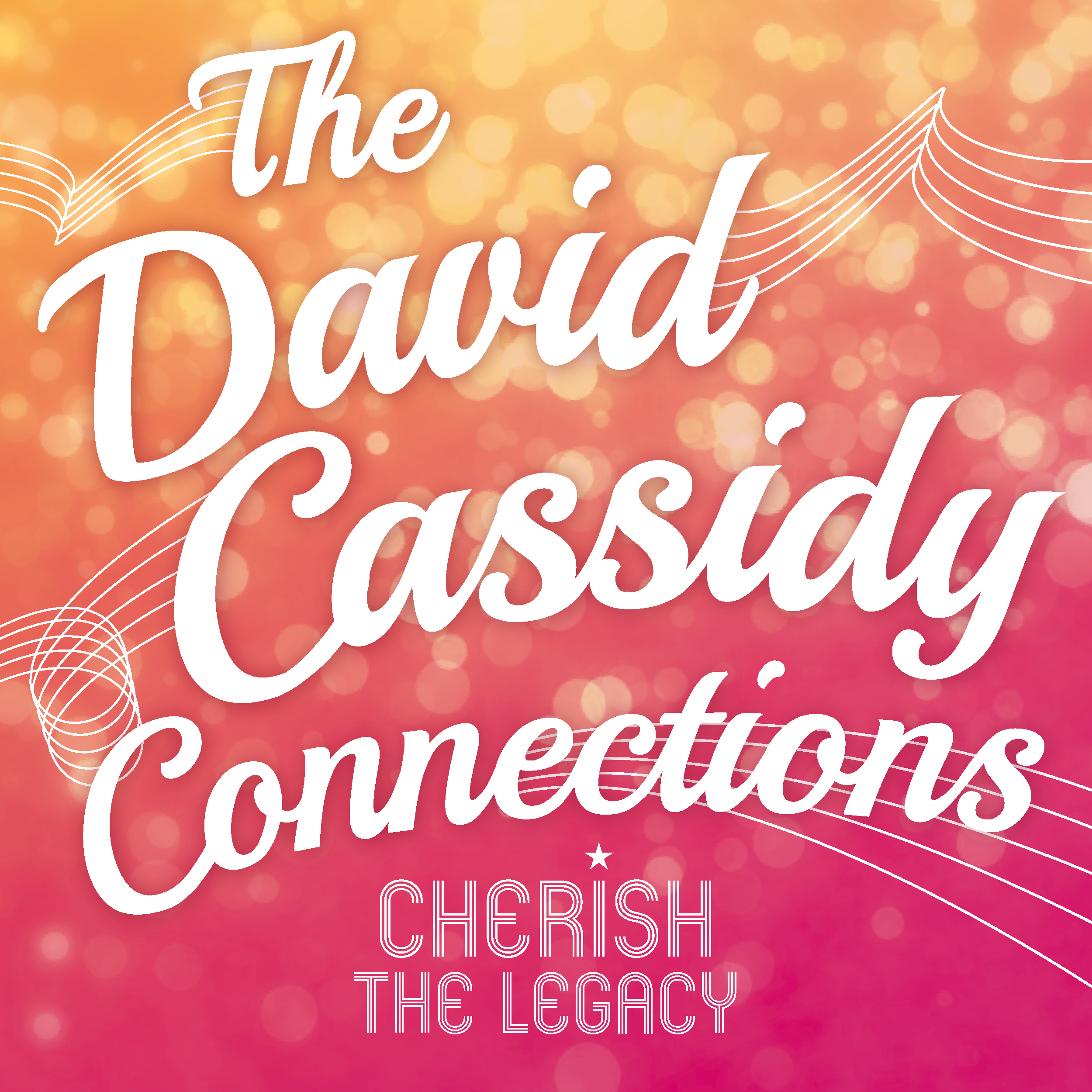 The David Cassidy Connections